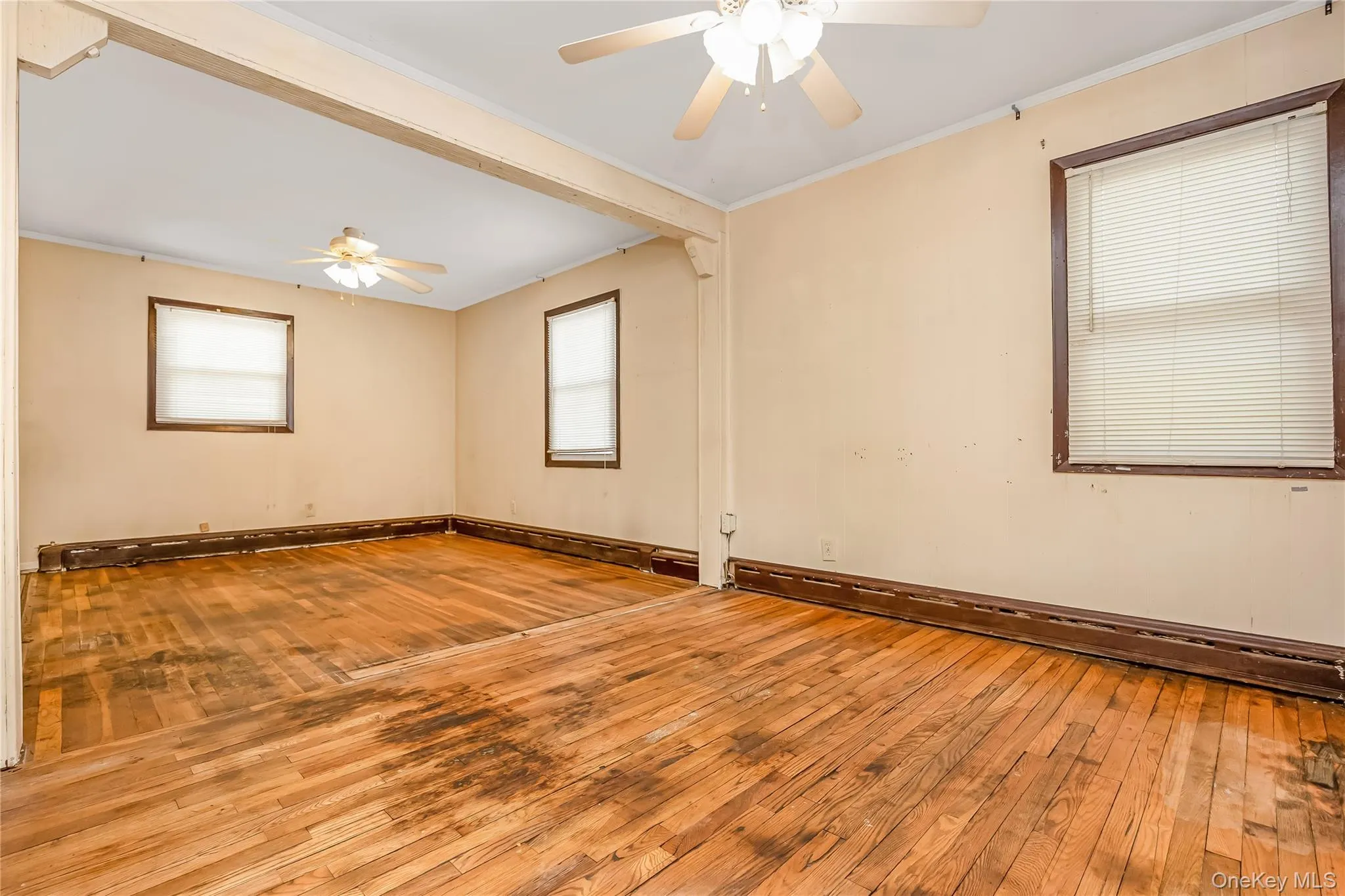 578 Patterson Street, Hempstead, NY, 4 Bedrooms Bedrooms, 8 Rooms Rooms,2 BathroomsBathrooms,Residential,For Rent,Patterson,0,1026367 578 Patterson Street, Hempstead, NY, 4 Bedrooms Bedrooms, 8 Rooms Rooms,2 BathroomsBathrooms,Residential,For Rent,Patterson,0,1026367