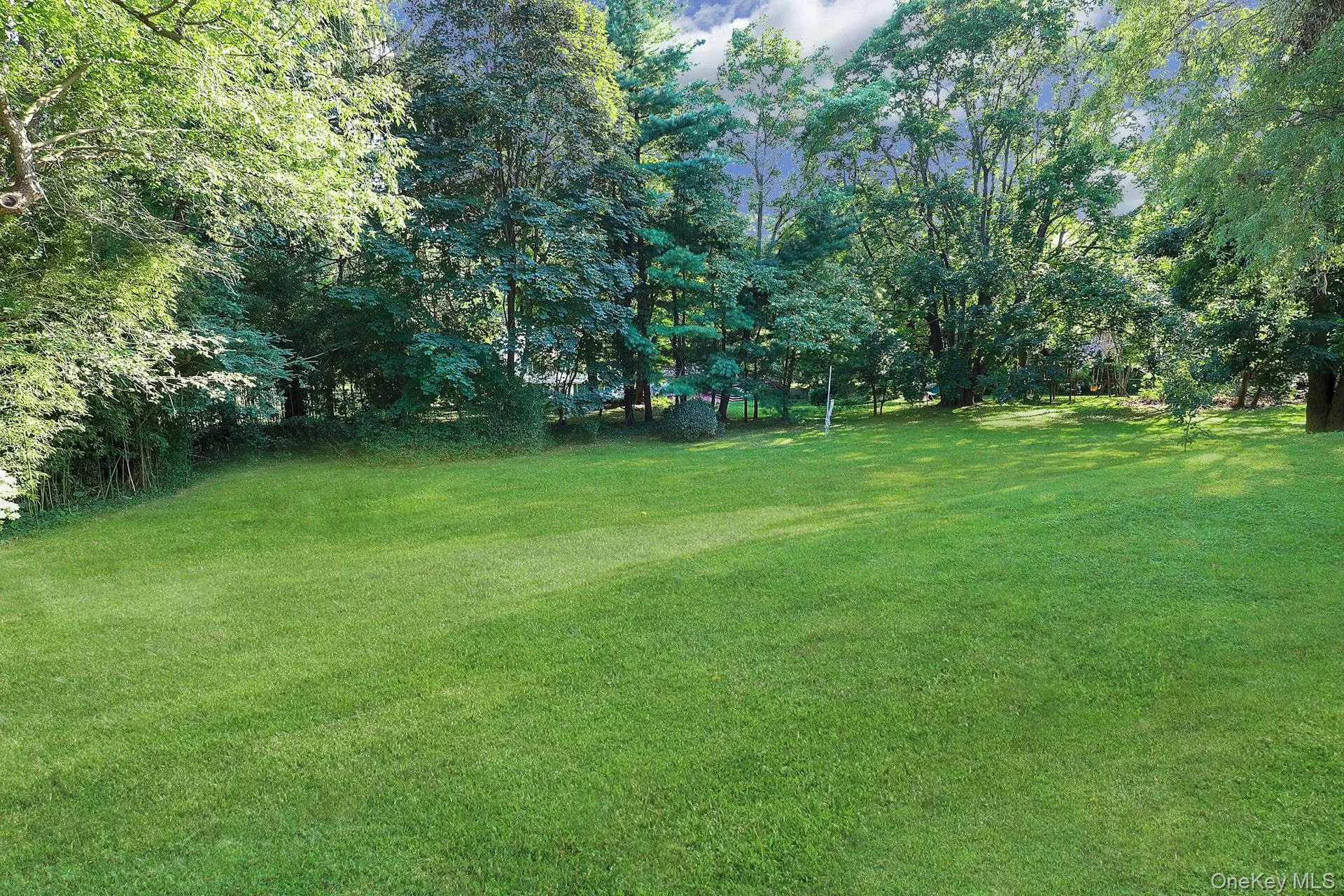 Backyard Backyard