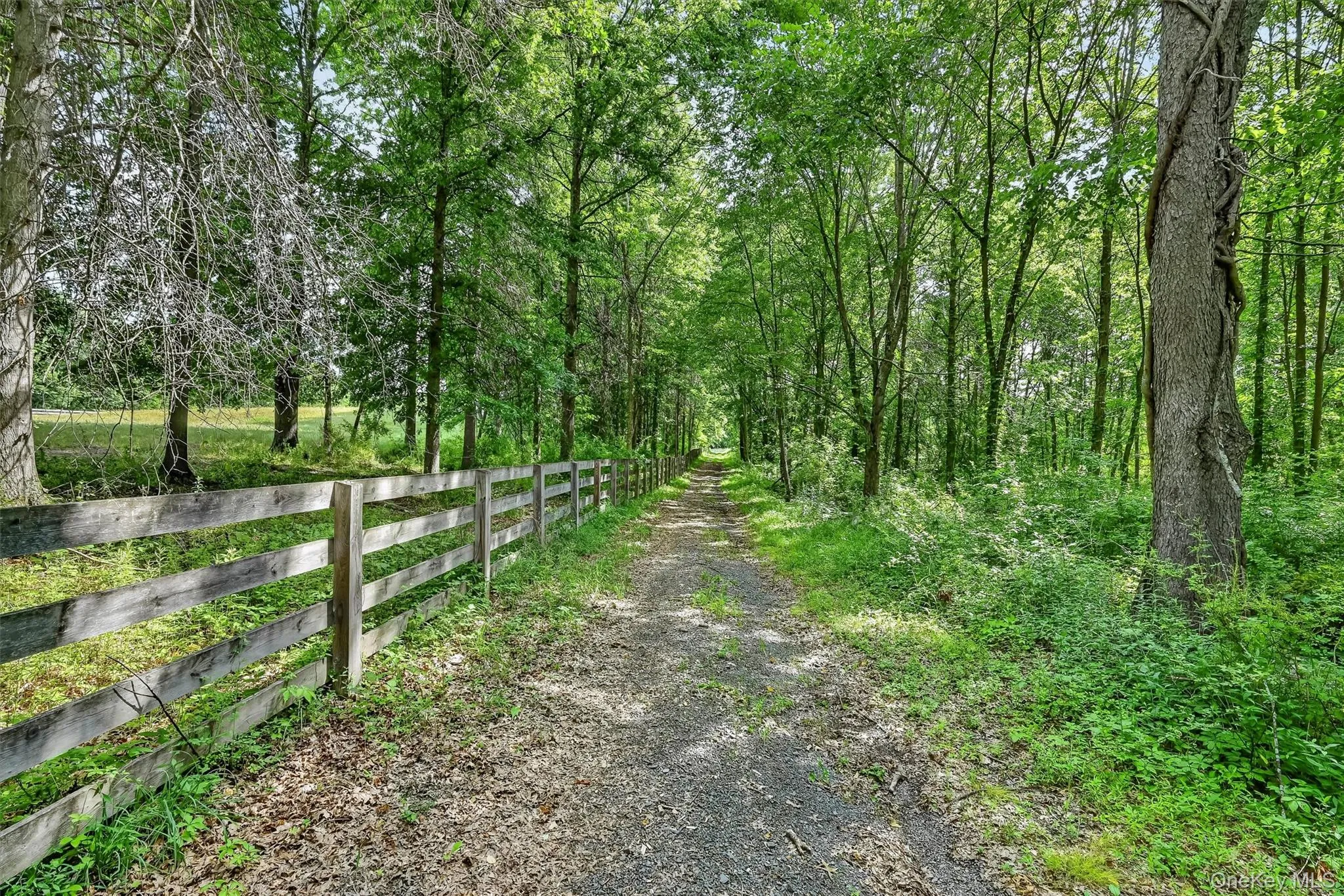 123 Collabar Road, Montgomery, NY, 3 Bedrooms Bedrooms, 10 Rooms Rooms,3 BathroomsBathrooms,Residential,For Rent,Collabar,0,1026440 123 Collabar Road, Montgomery, NY, 3 Bedrooms Bedrooms, 10 Rooms Rooms,3 BathroomsBathrooms,Residential,For Rent,Collabar,0,1026440