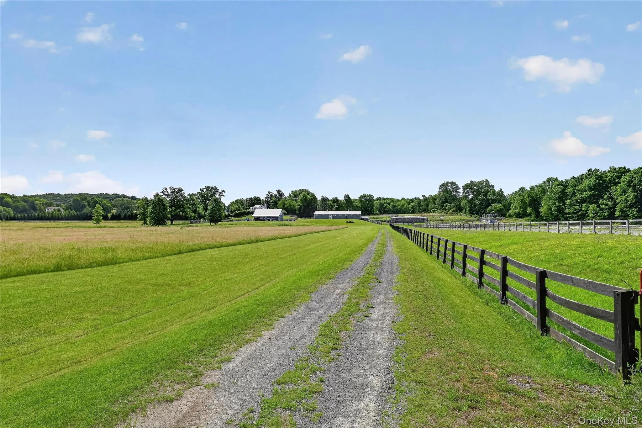 123 Collabar Road, Montgomery, NY, 3 Bedrooms Bedrooms, 10 Rooms Rooms,3 BathroomsBathrooms,Residential,For Rent,Collabar,0,1026440 123 Collabar Road, Montgomery, NY, 3 Bedrooms Bedrooms, 10 Rooms Rooms,3 BathroomsBathrooms,Residential,For Rent,Collabar,0,1026440