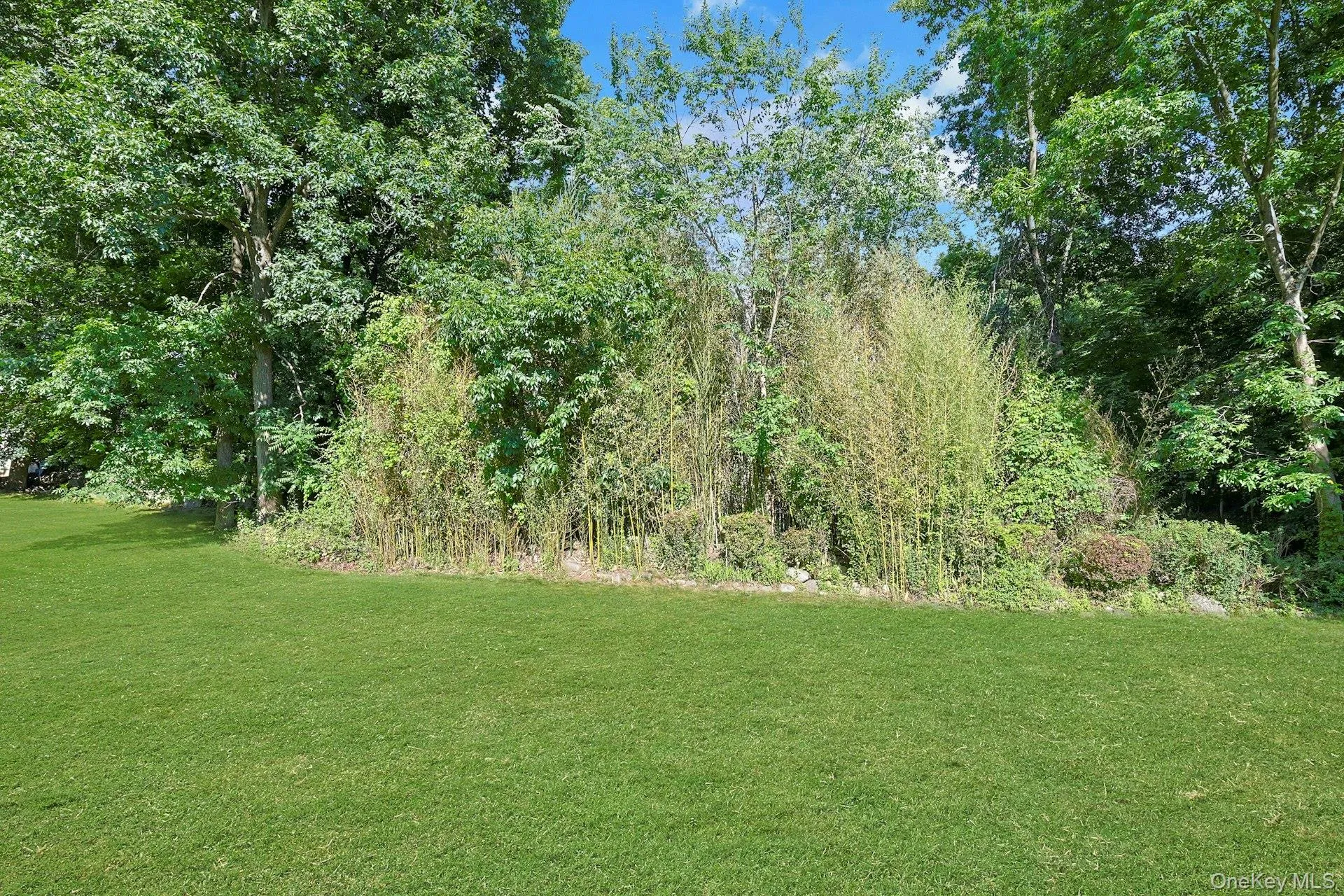 the backyard is so peaceful and serene the backyard is so peaceful and serene