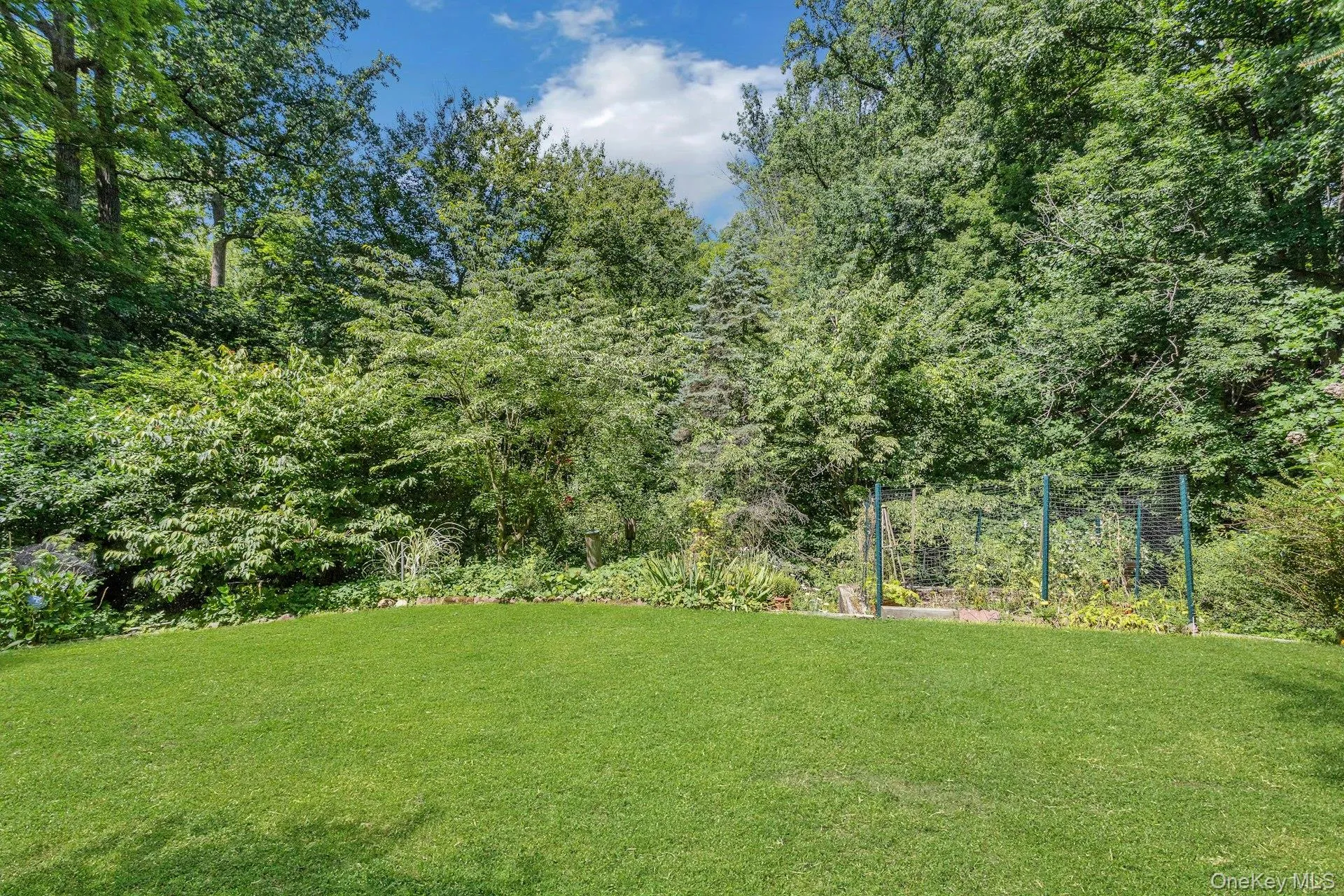 99 Lakeside Drive, Bedford, NY, 4 Bedrooms Bedrooms, 8 Rooms Rooms,2 BathroomsBathrooms,Residential,For Rent,Lakeside,0,1026527 99 Lakeside Drive, Bedford, NY, 4 Bedrooms Bedrooms, 8 Rooms Rooms,2 BathroomsBathrooms,Residential,For Rent,Lakeside,0,1026527