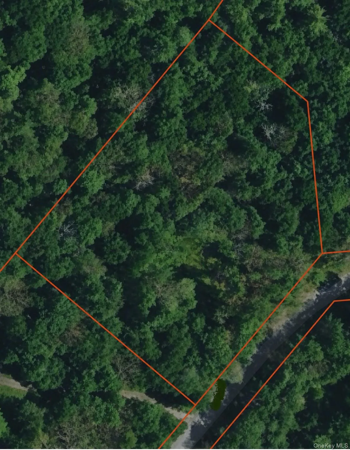 Geba Drive, Lumberland, NY, ,Land,For Rent,Geba,0,1026541 Geba Drive, Lumberland, NY, ,Land,For Rent,Geba,0,1026541