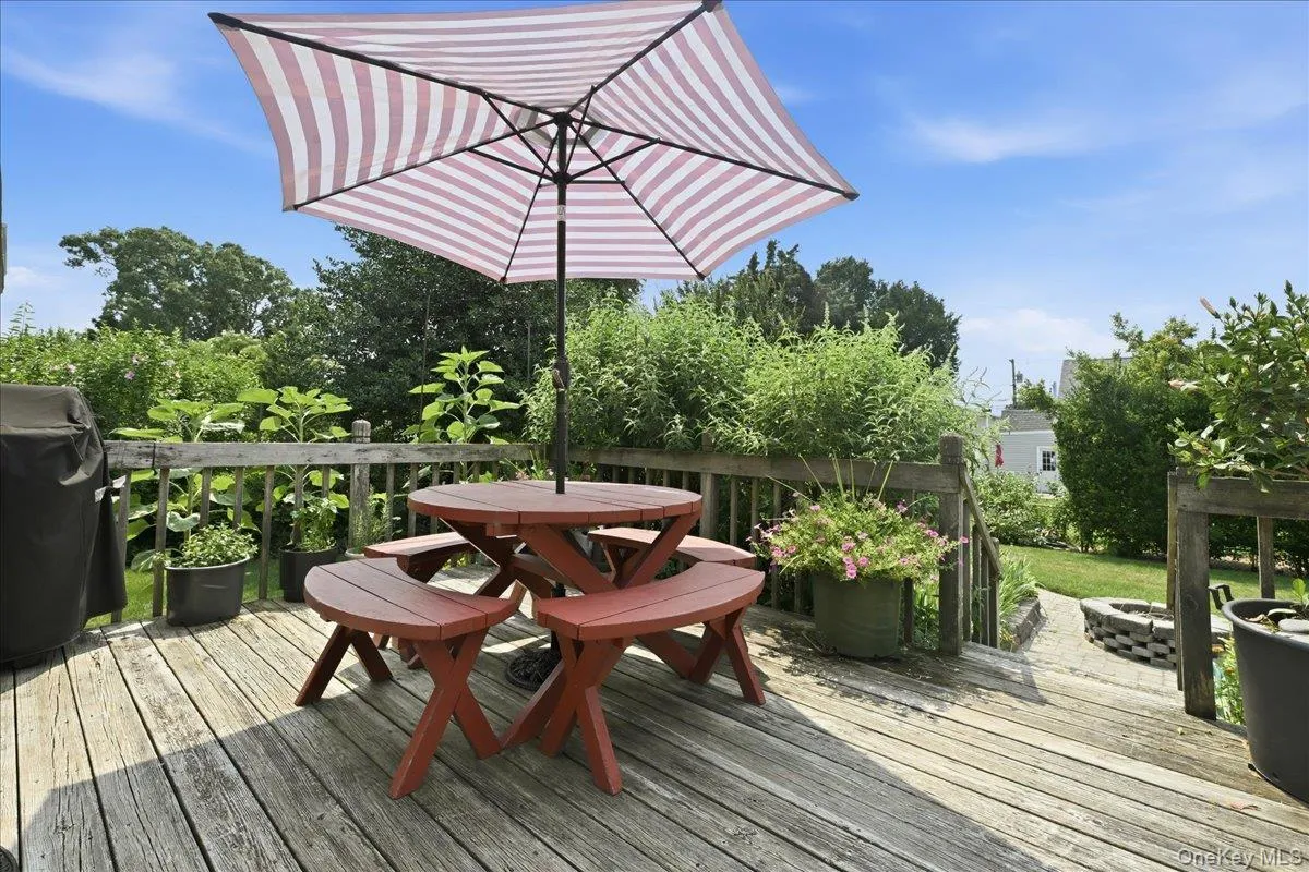 Wood deck with lush surrounding greenery Wood deck with lush surrounding greenery