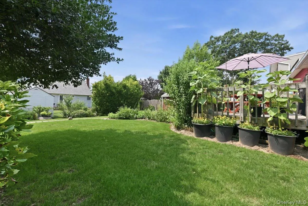 Expansive lawn area with mature perimeter foliage Expansive lawn area with mature perimeter foliage