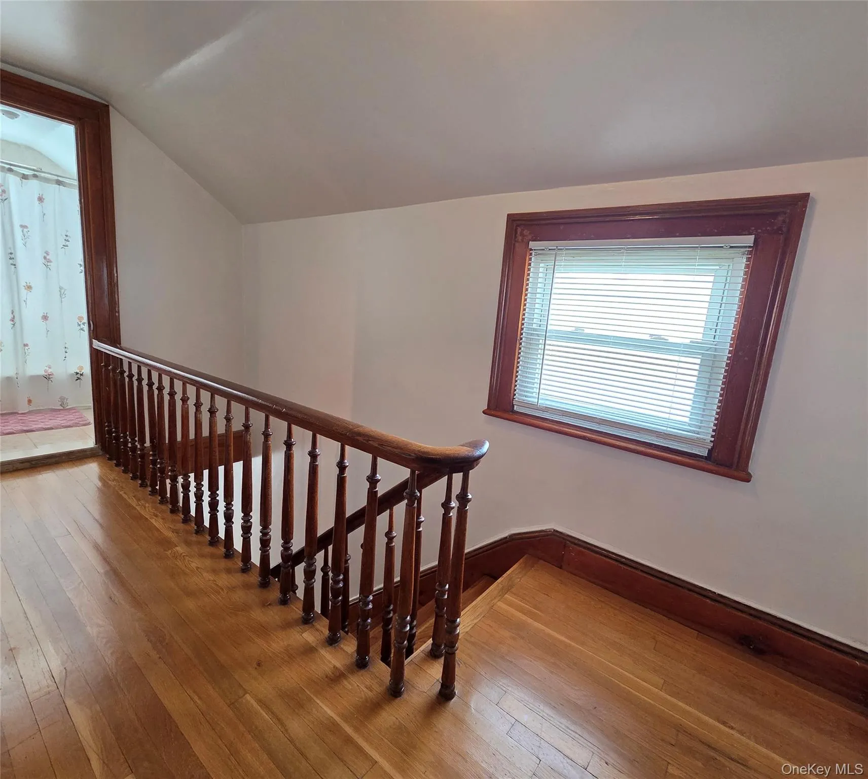 2241 Haviland Avenue, New York, NY, 4 Bedrooms Bedrooms, 7 Rooms Rooms,3 BathroomsBathrooms,Residential,For Rent,Haviland,0,1026583 2241 Haviland Avenue, New York, NY, 4 Bedrooms Bedrooms, 7 Rooms Rooms,3 BathroomsBathrooms,Residential,For Rent,Haviland,0,1026583