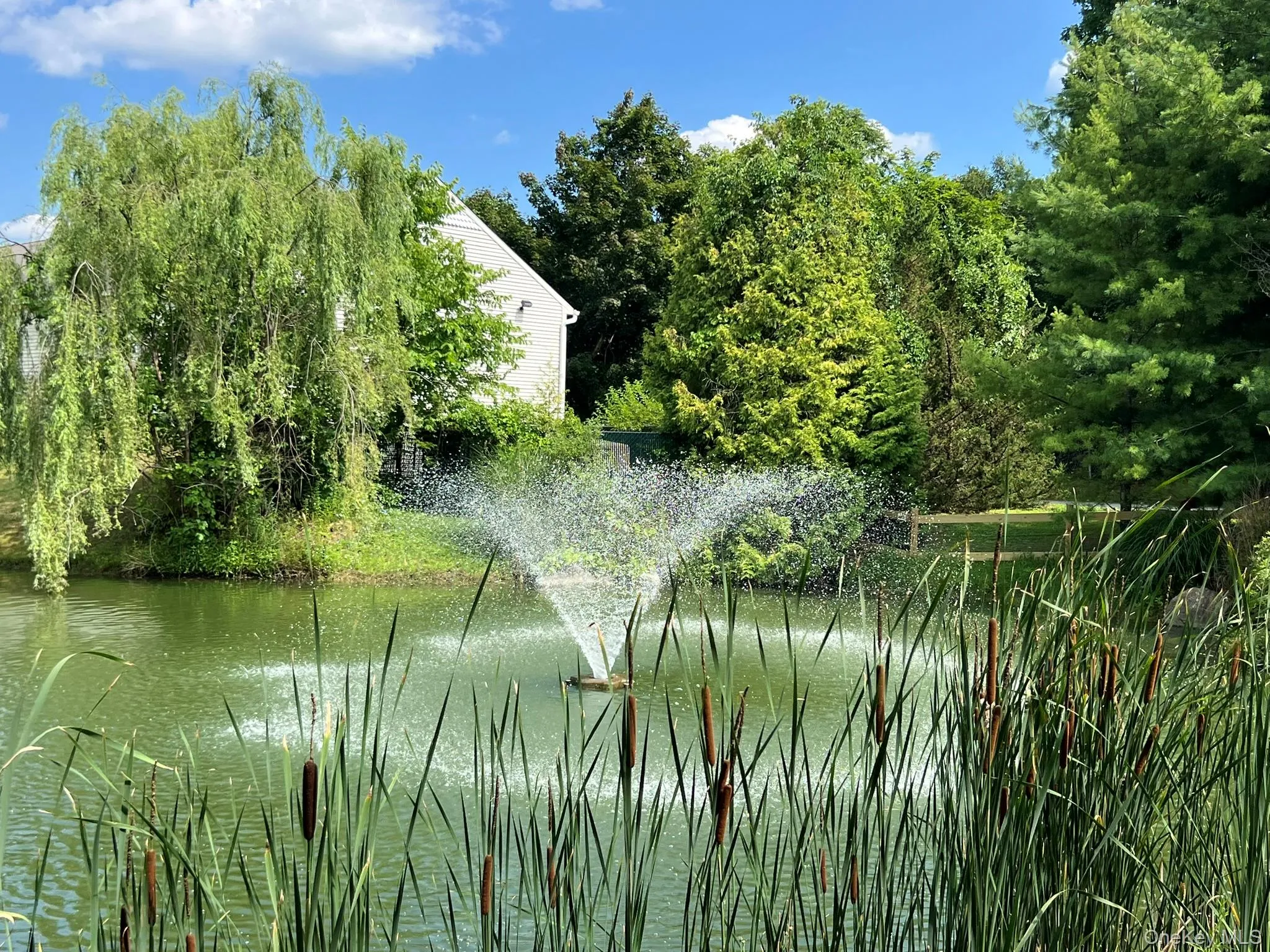 The pond with a fountain creates a serene focal point, adding beauty and tranquility to the setting. The pond with a fountain creates a serene focal point, adding beauty and tranquility to the setting.