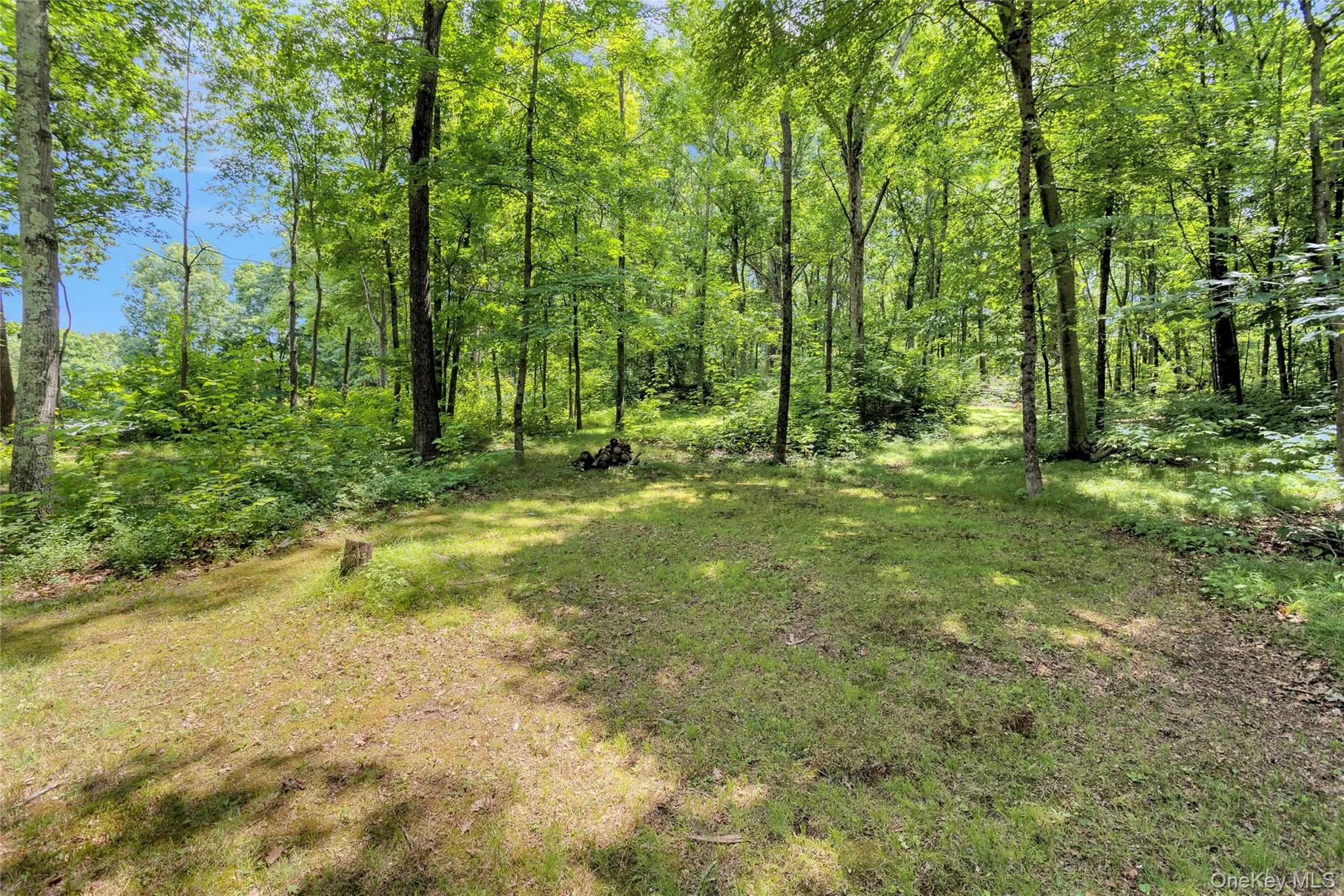 577 Wood Road, Carmel, NY, 2 Bedrooms Bedrooms, 4 Rooms Rooms,1 BathroomBathrooms,Residential,For Rent,Wood,0,1026654 577 Wood Road, Carmel, NY, 2 Bedrooms Bedrooms, 4 Rooms Rooms,1 BathroomBathrooms,Residential,For Rent,Wood,0,1026654