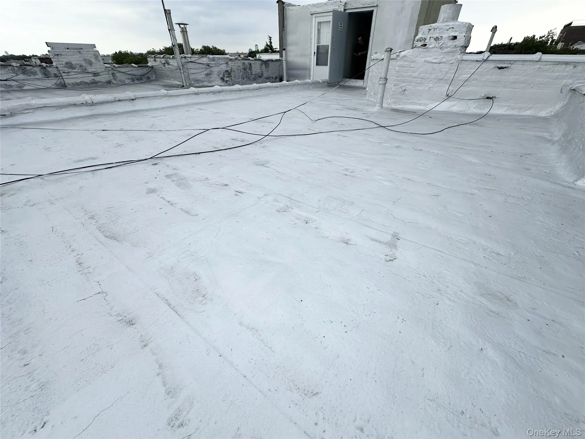 1312 66th Street, New York, NY, 11 Bedrooms Bedrooms, 19 Rooms Rooms,6 BathroomsBathrooms,Residential,For Rent,66th,0,1026659 1312 66th Street, New York, NY, 11 Bedrooms Bedrooms, 19 Rooms Rooms,6 BathroomsBathrooms,Residential,For Rent,66th,0,1026659