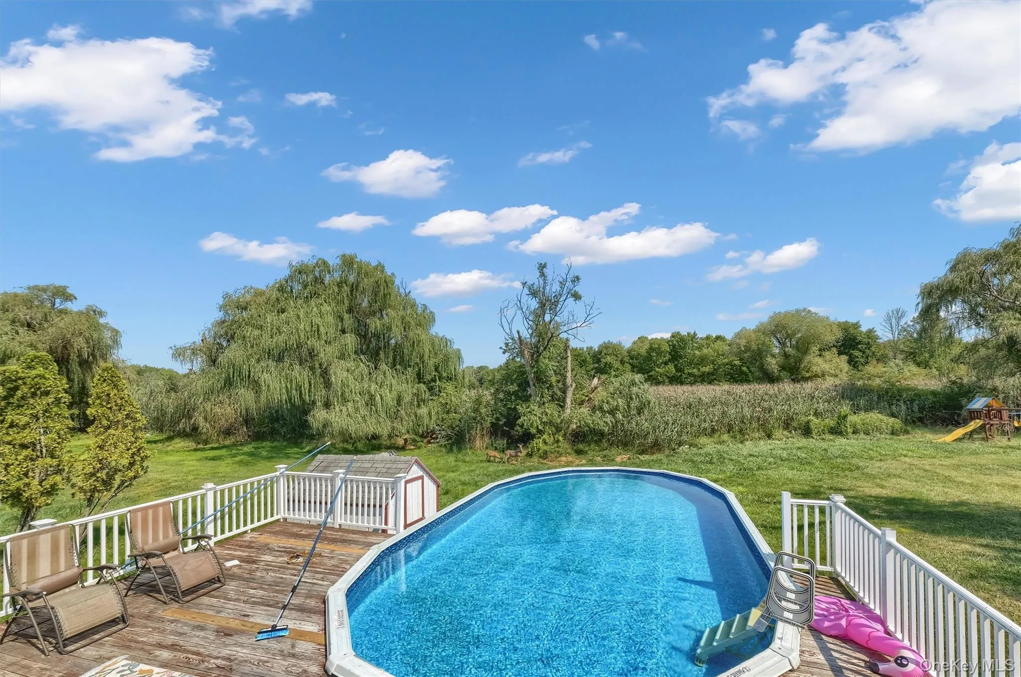 7 Briarwood Avenue, Monroe, NY, 4 Bedrooms Bedrooms, 9 Rooms Rooms,2 BathroomsBathrooms,Residential,For Rent,Briarwood,0,1026670 7 Briarwood Avenue, Monroe, NY, 4 Bedrooms Bedrooms, 9 Rooms Rooms,2 BathroomsBathrooms,Residential,For Rent,Briarwood,0,1026670
