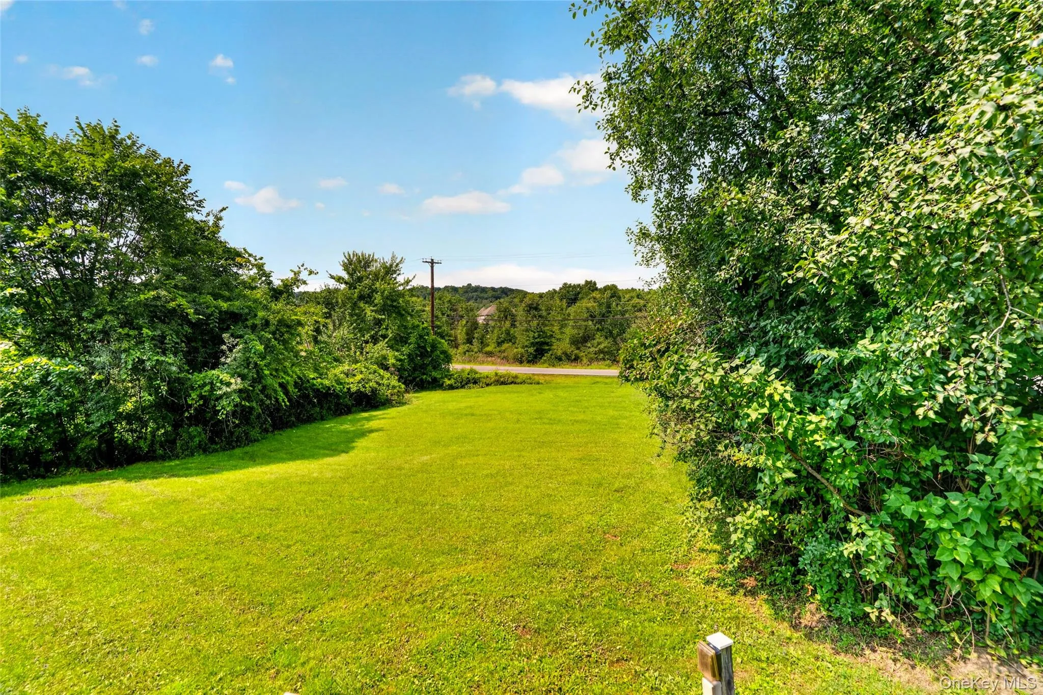 Expansive green lawn surrounded by mature trees and natural landscaping Expansive green lawn surrounded by mature trees and natural landscaping