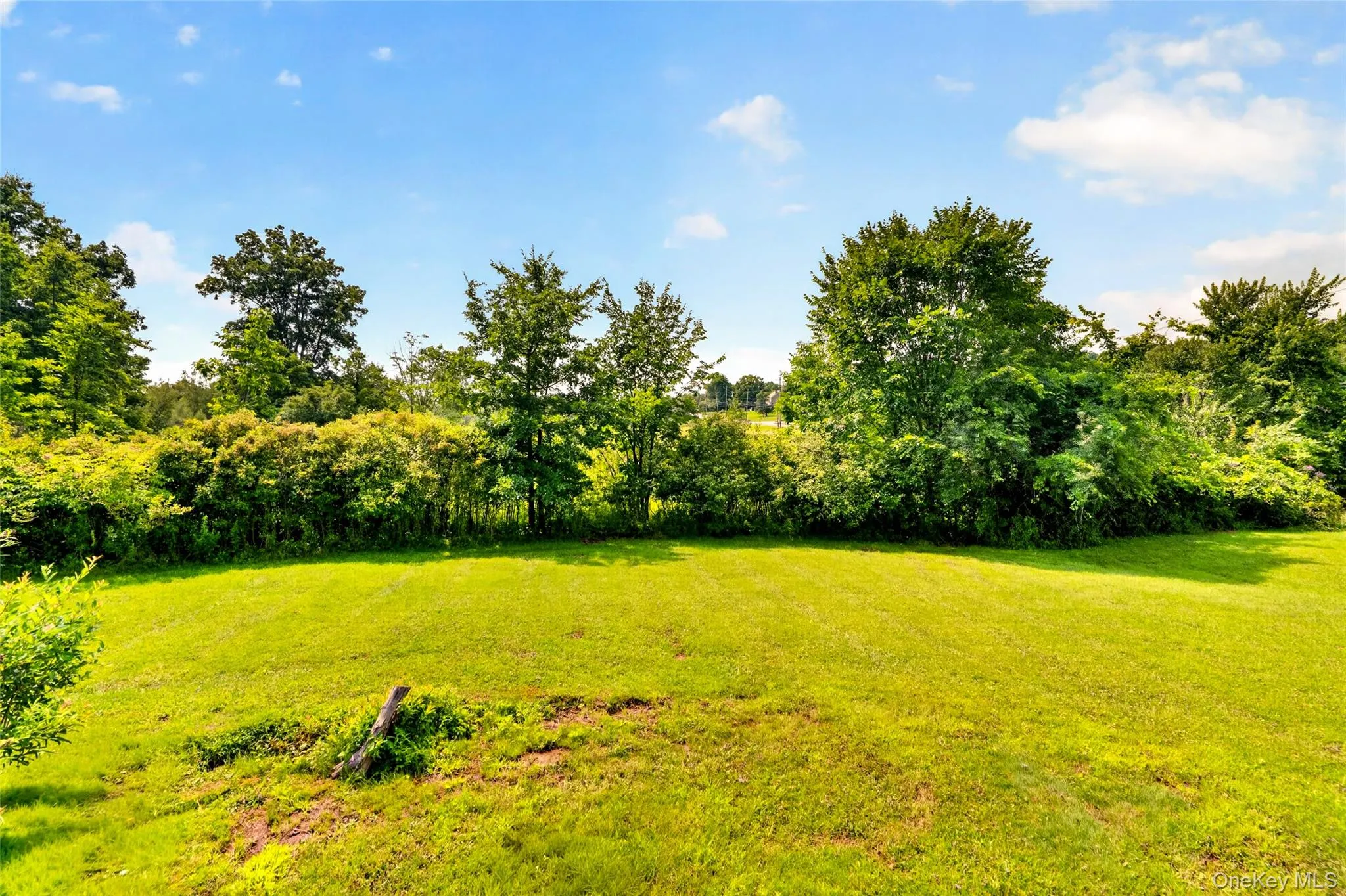 Expansive green lawn with mature perimeter trees Expansive green lawn with mature perimeter trees