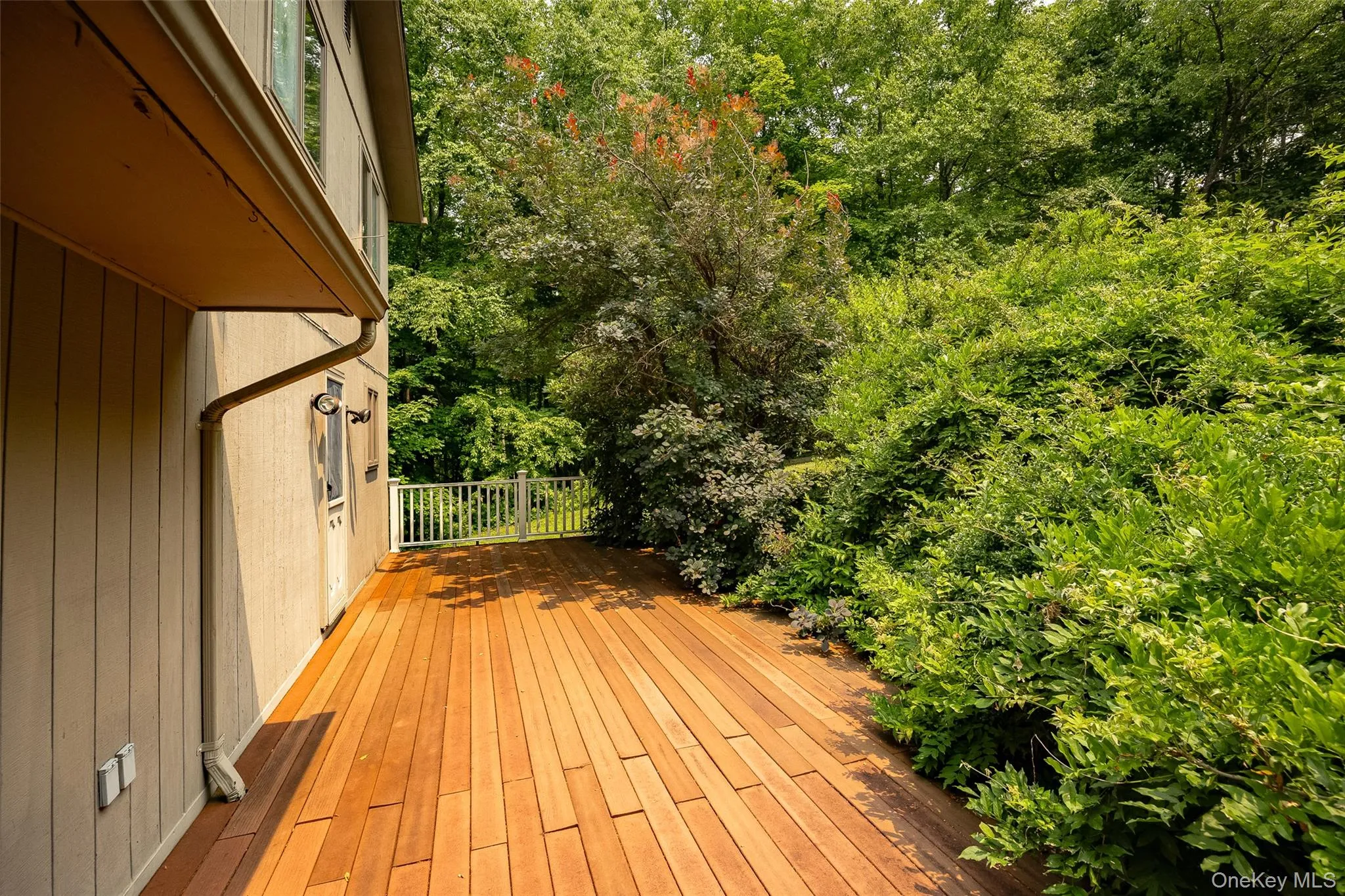 185 White Pond Road, East Fishkill, NY, 3 Bedrooms Bedrooms, 8 Rooms Rooms,2 BathroomsBathrooms,Residential,For Rent,White Pond,0,1026703 185 White Pond Road, East Fishkill, NY, 3 Bedrooms Bedrooms, 8 Rooms Rooms,2 BathroomsBathrooms,Residential,For Rent,White Pond,0,1026703