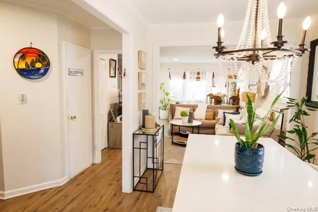 Open Concept Kitchen with Gorgeous lIving room Open Concept Kitchen with Gorgeous lIving room