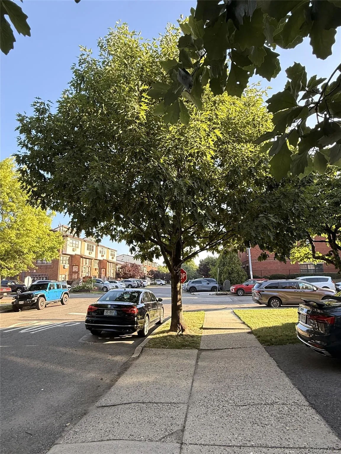 303 121st Street, New York, NY, 2 Bedrooms Bedrooms, 3 Rooms Rooms,1 BathroomBathrooms,Residential,For Rent,121st,0,1026760 303 121st Street, New York, NY, 2 Bedrooms Bedrooms, 3 Rooms Rooms,1 BathroomBathrooms,Residential,For Rent,121st,0,1026760