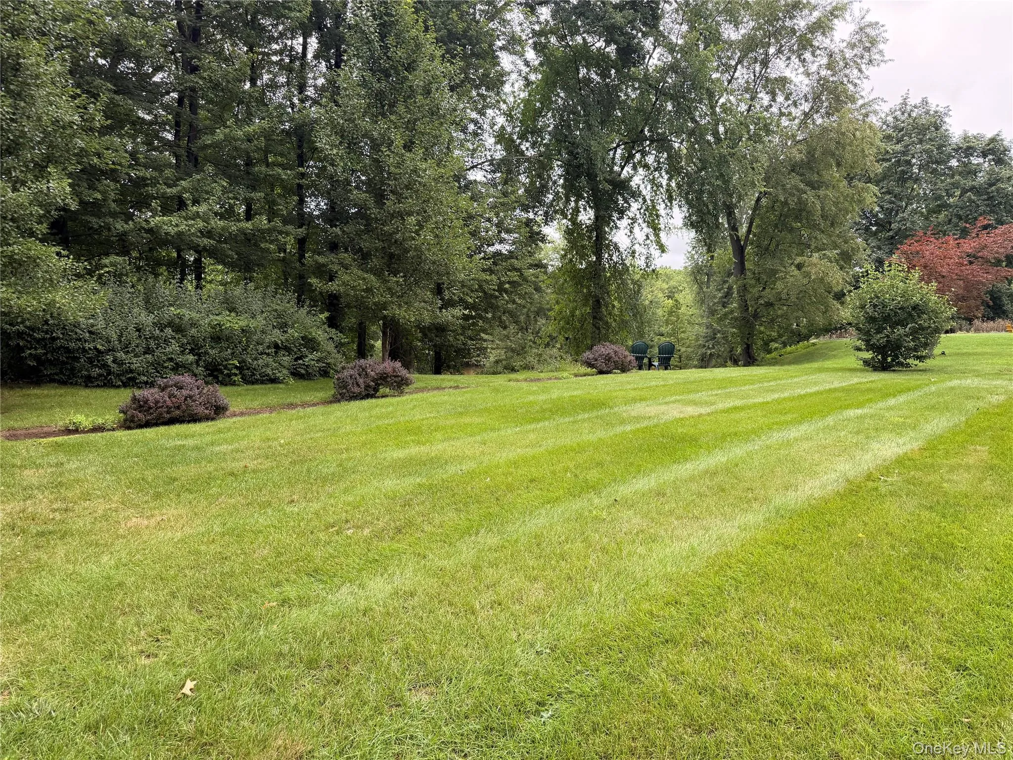 168 Pleasant Avenue, Montgomery, NY, 3 Bedrooms Bedrooms, 8 Rooms Rooms,2 BathroomsBathrooms,Residential,For Rent,Pleasant,0,1026792 168 Pleasant Avenue, Montgomery, NY, 3 Bedrooms Bedrooms, 8 Rooms Rooms,2 BathroomsBathrooms,Residential,For Rent,Pleasant,0,1026792