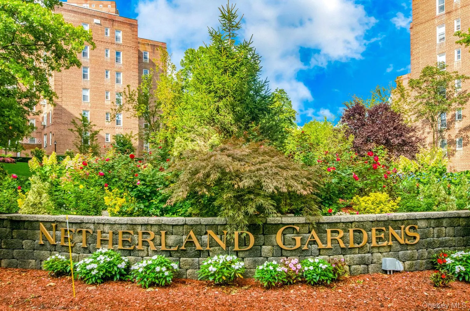 5645 Netherland Avenue, New York, NY, 2 Bedrooms Bedrooms, 4 Rooms Rooms,1 BathroomBathrooms,Residential,For Rent,Netherland,0,1026829 5645 Netherland Avenue, New York, NY, 2 Bedrooms Bedrooms, 4 Rooms Rooms,1 BathroomBathrooms,Residential,For Rent,Netherland,0,1026829