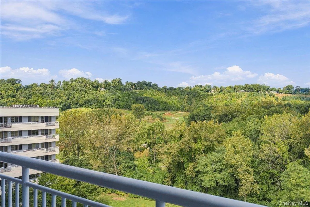 Expansive green space and mature trees under a clear sky Expansive green space and mature trees under a clear sky