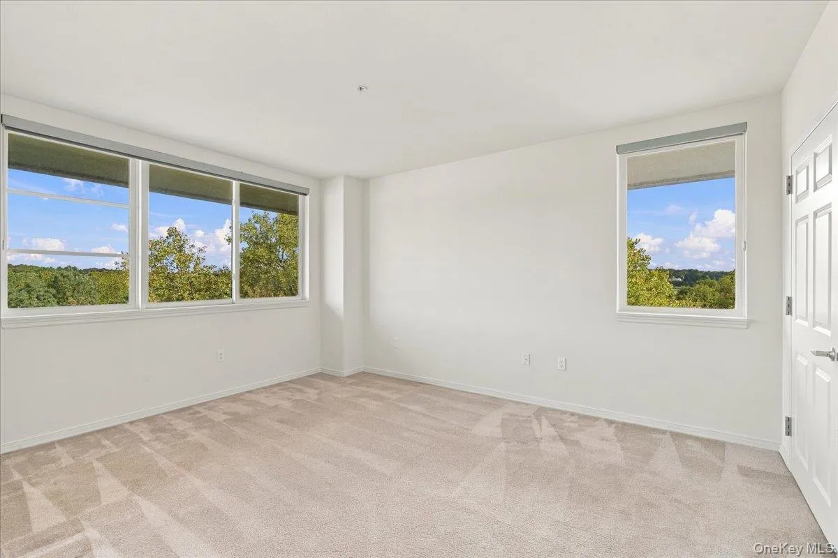 Expansive room featuring multiple windows, neutral carpet flooring, and a flat white ceiling Expansive room featuring multiple windows, neutral carpet flooring, and a flat white ceiling