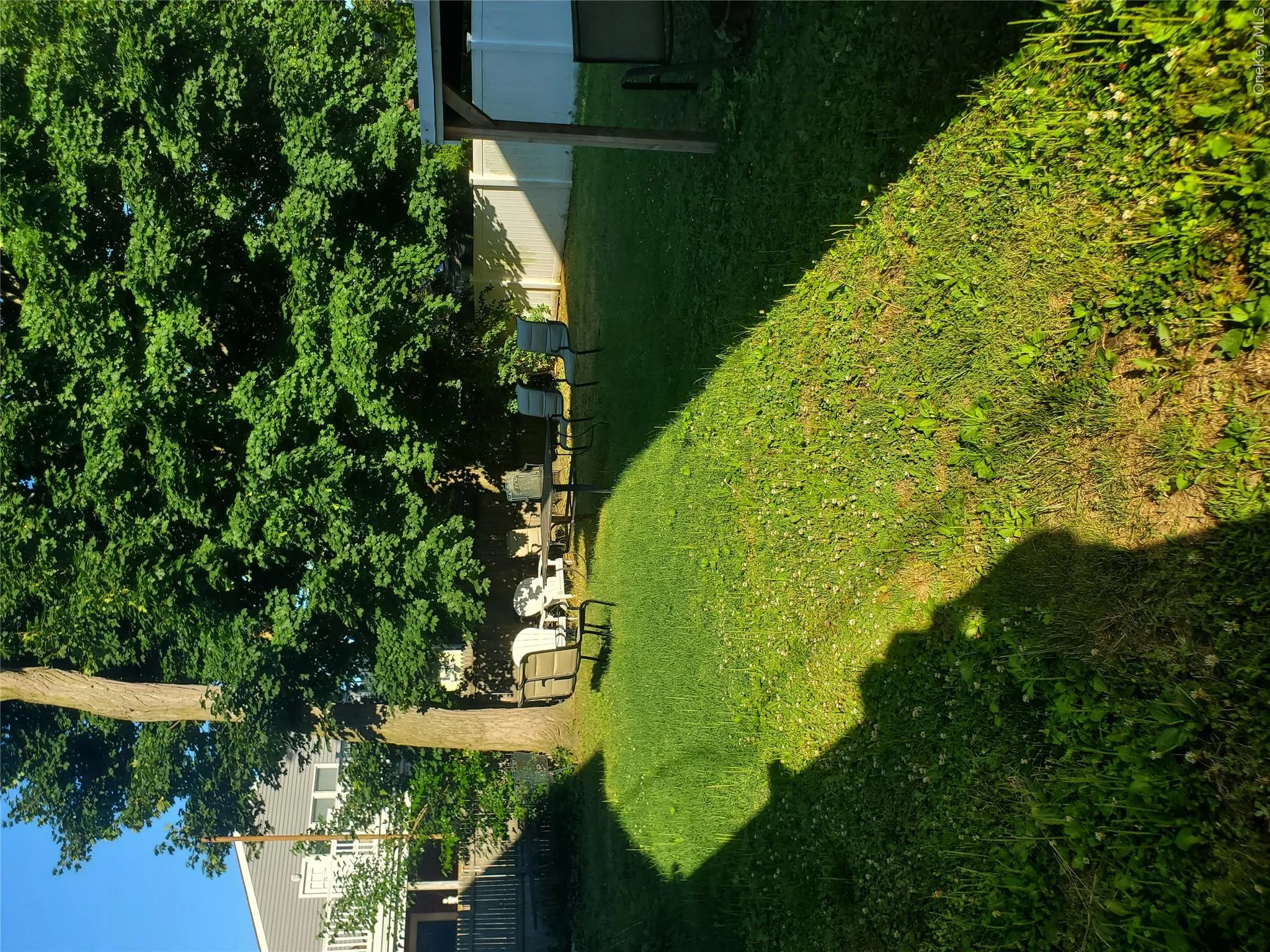 Back Yard Back Yard
