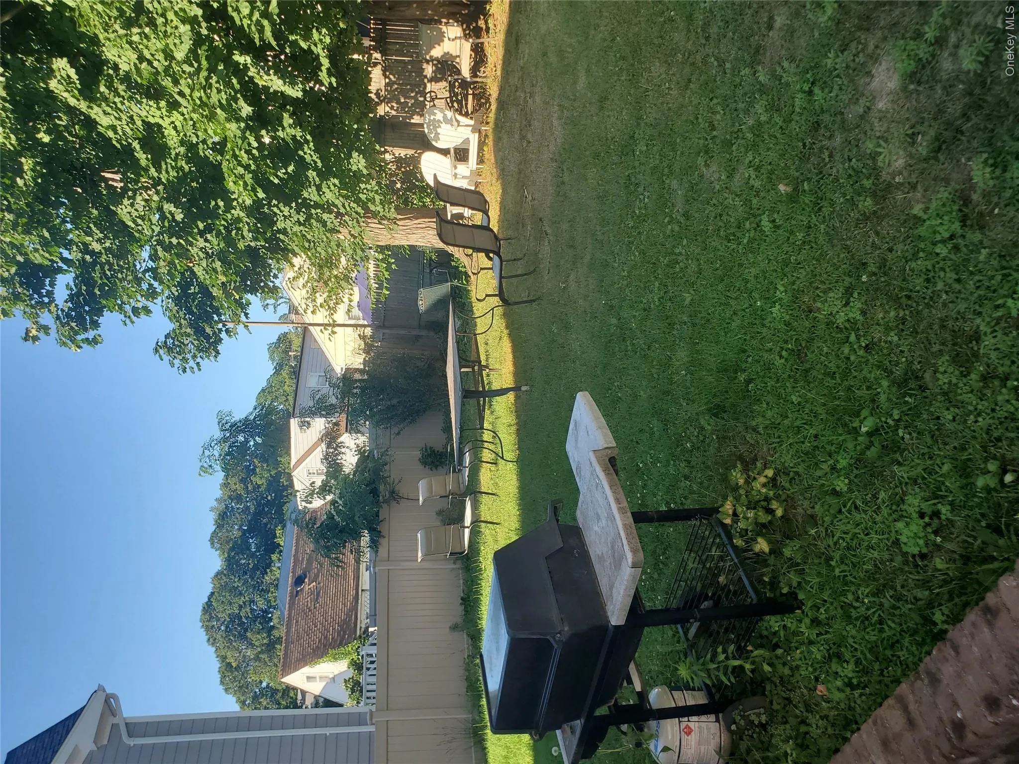 Back Yard Back Yard