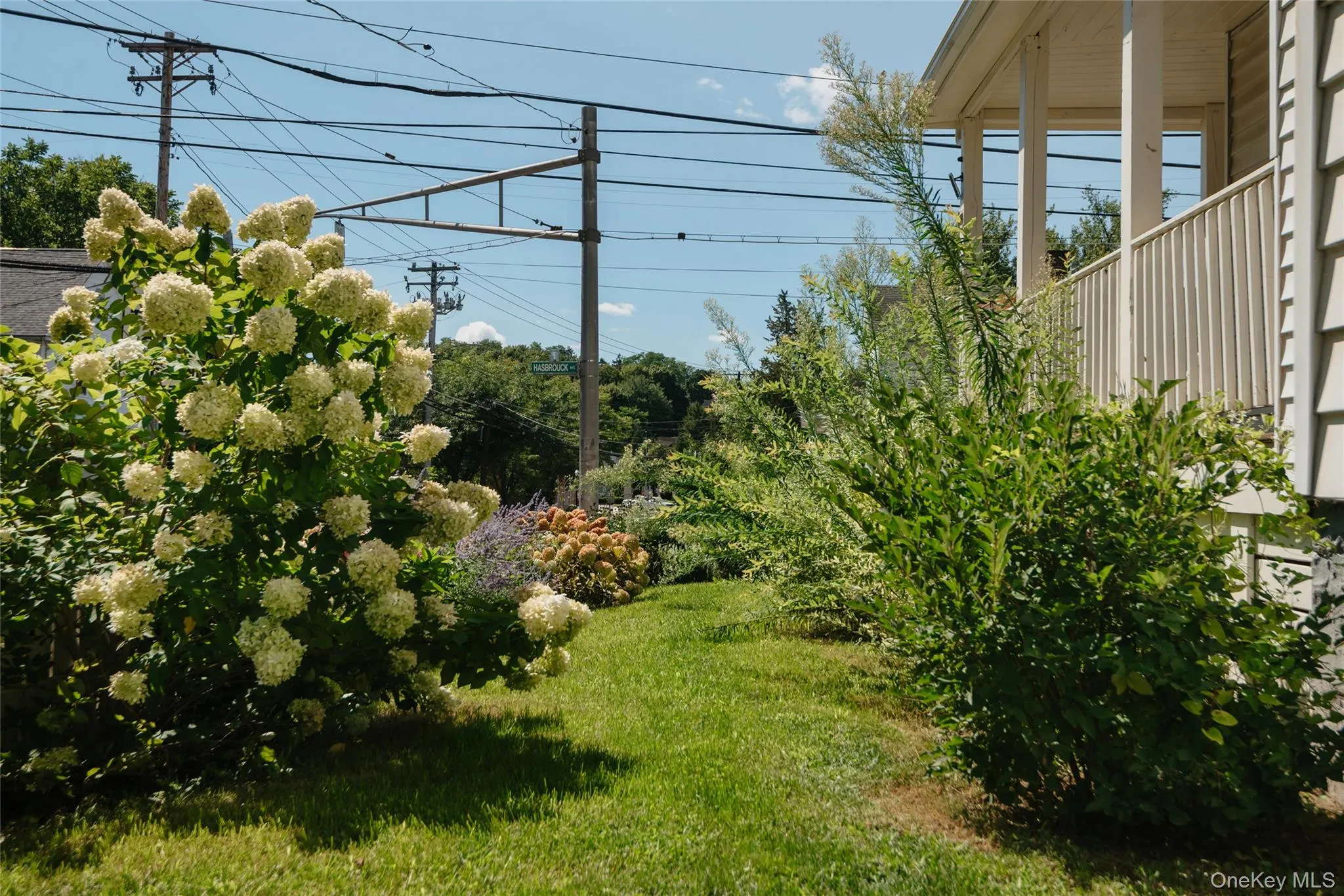 328 Hasbrouck Avenue, Kingston, NY, 3 Bedrooms Bedrooms, 7 Rooms Rooms,2 BathroomsBathrooms,Residential,For Rent,Hasbrouck,0,1026930 328 Hasbrouck Avenue, Kingston, NY, 3 Bedrooms Bedrooms, 7 Rooms Rooms,2 BathroomsBathrooms,Residential,For Rent,Hasbrouck,0,1026930