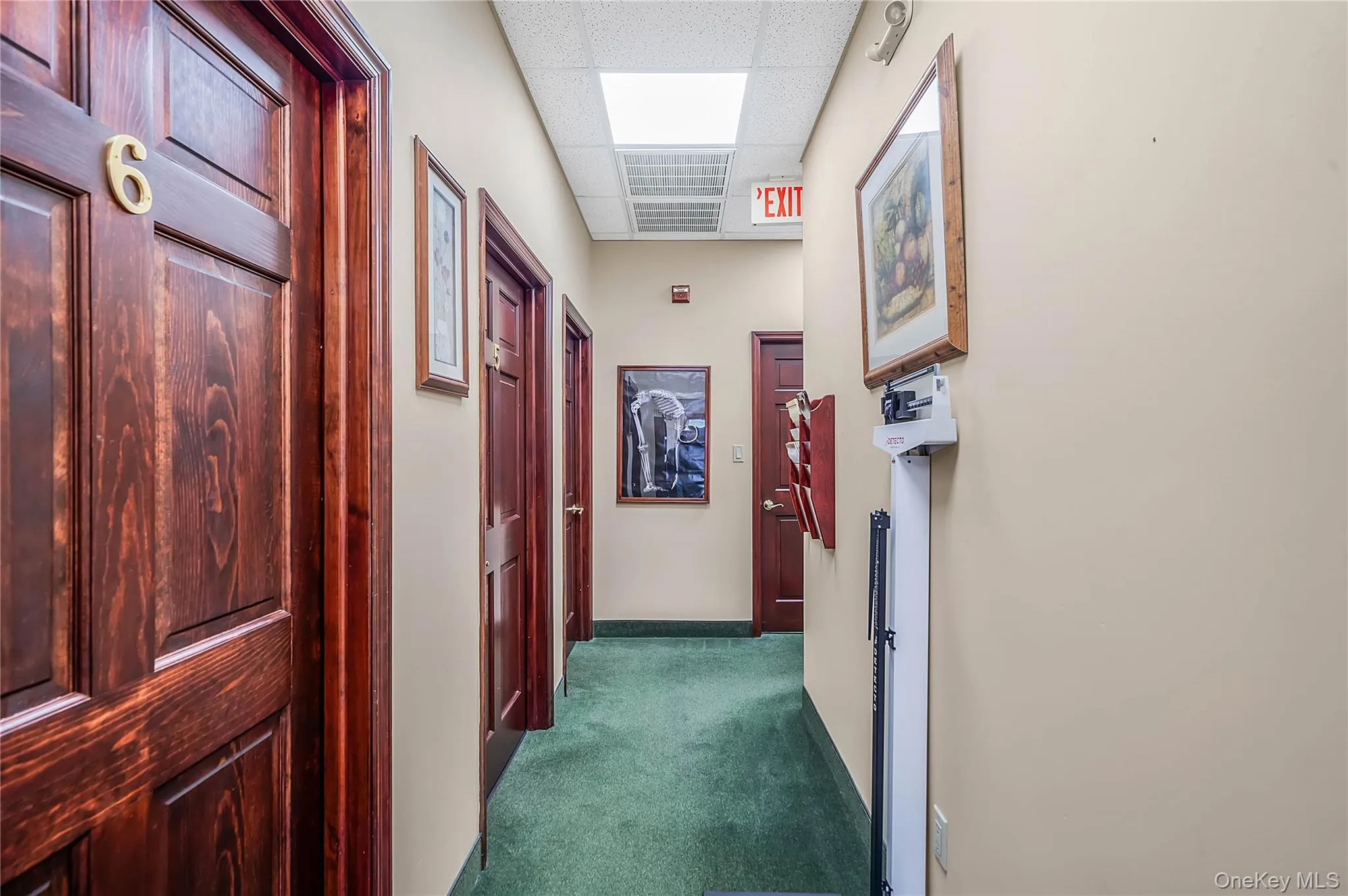201 Portion Road, Brookhaven, NY, ,Commercial Lease,For Rent,Portion,0,1026935 201 Portion Road, Brookhaven, NY, ,Commercial Lease,For Rent,Portion,0,1026935
