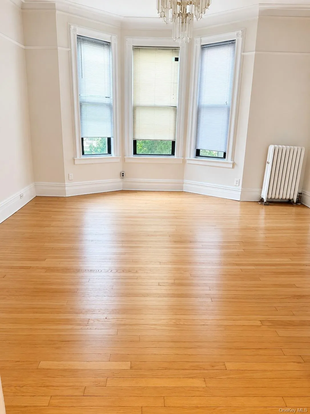 3216 31st Avenue, New York, NY, 3 Bedrooms Bedrooms, 6 Rooms Rooms,1 BathroomBathrooms,Residential Lease,For Rent,31st,0,1026970 3216 31st Avenue, New York, NY, 3 Bedrooms Bedrooms, 6 Rooms Rooms,1 BathroomBathrooms,Residential Lease,For Rent,31st,0,1026970