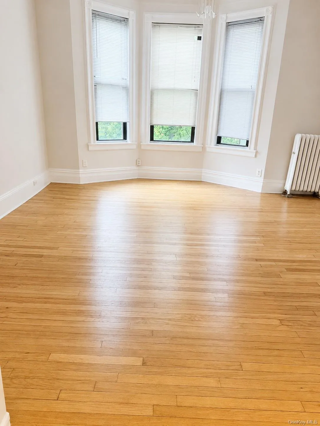 3216 31st Avenue, New York, NY, 3 Bedrooms Bedrooms, 6 Rooms Rooms,1 BathroomBathrooms,Residential Lease,For Rent,31st,0,1026970 3216 31st Avenue, New York, NY, 3 Bedrooms Bedrooms, 6 Rooms Rooms,1 BathroomBathrooms,Residential Lease,For Rent,31st,0,1026970