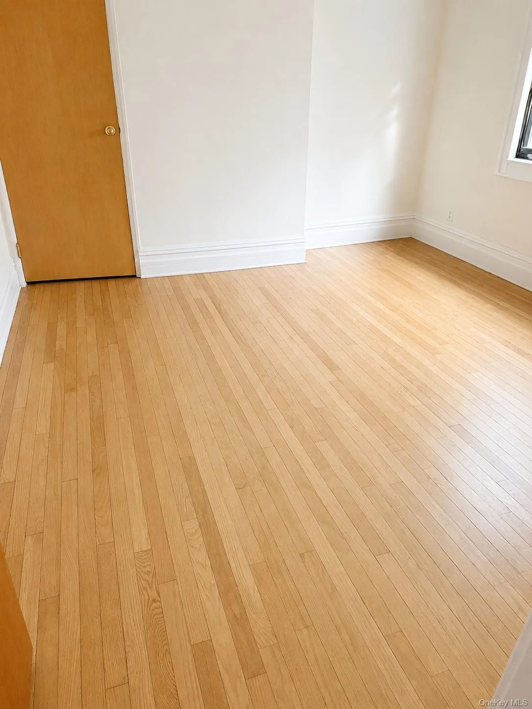 3216 31st Avenue, New York, NY, 3 Bedrooms Bedrooms, 6 Rooms Rooms,1 BathroomBathrooms,Residential Lease,For Rent,31st,0,1026970 3216 31st Avenue, New York, NY, 3 Bedrooms Bedrooms, 6 Rooms Rooms,1 BathroomBathrooms,Residential Lease,For Rent,31st,0,1026970