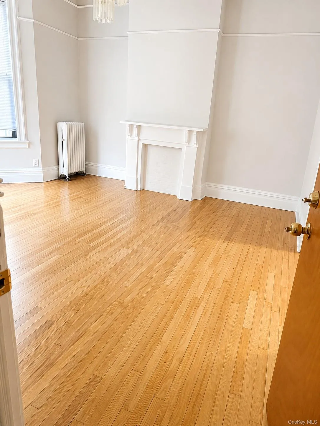 3216 31st Avenue, New York, NY, 3 Bedrooms Bedrooms, 6 Rooms Rooms,1 BathroomBathrooms,Residential Lease,For Rent,31st,0,1026970 3216 31st Avenue, New York, NY, 3 Bedrooms Bedrooms, 6 Rooms Rooms,1 BathroomBathrooms,Residential Lease,For Rent,31st,0,1026970