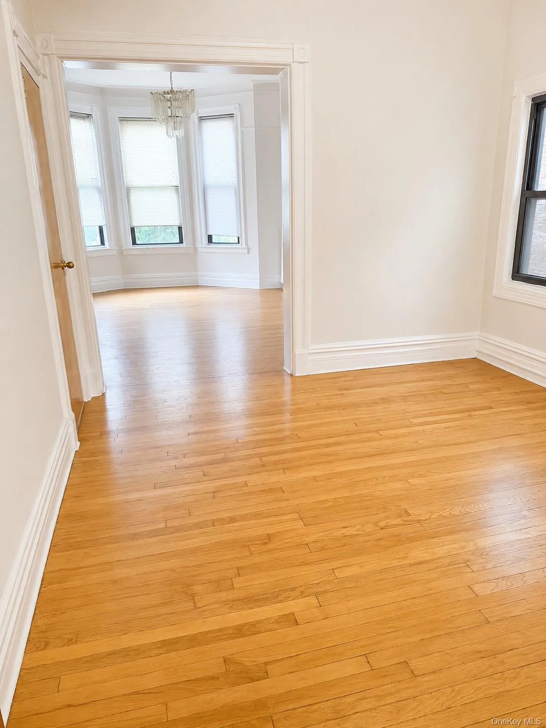 3216 31st Avenue, New York, NY, 3 Bedrooms Bedrooms, 6 Rooms Rooms,1 BathroomBathrooms,Residential Lease,For Rent,31st,0,1026970 3216 31st Avenue, New York, NY, 3 Bedrooms Bedrooms, 6 Rooms Rooms,1 BathroomBathrooms,Residential Lease,For Rent,31st,0,1026970
