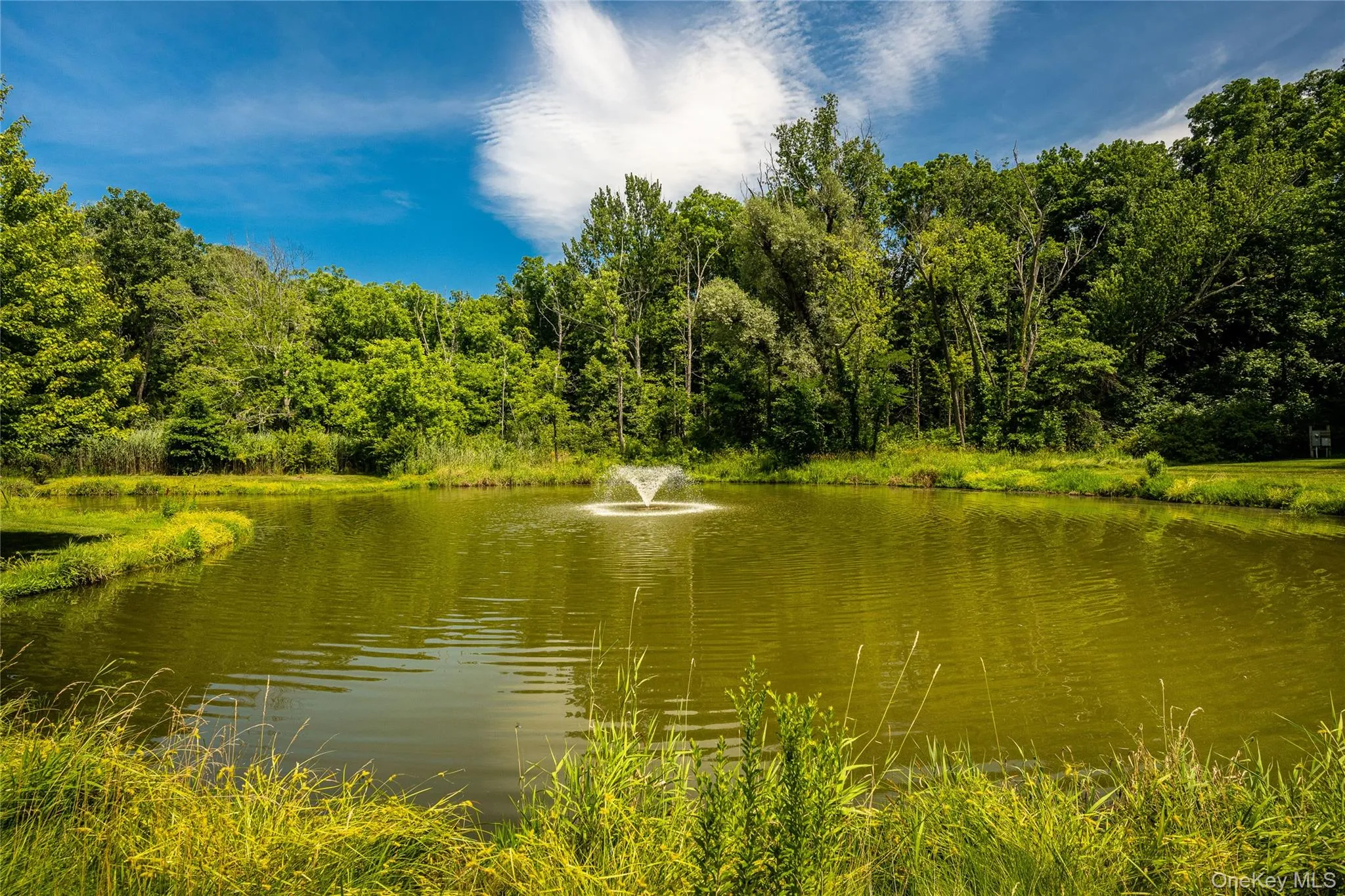 21 Pond Drive, Rhinebeck, NY, 2 Bedrooms Bedrooms, 5 Rooms Rooms,2 BathroomsBathrooms,Residential Lease,For Rent,Pond,0,1026974 21 Pond Drive, Rhinebeck, NY, 2 Bedrooms Bedrooms, 5 Rooms Rooms,2 BathroomsBathrooms,Residential Lease,For Rent,Pond,0,1026974