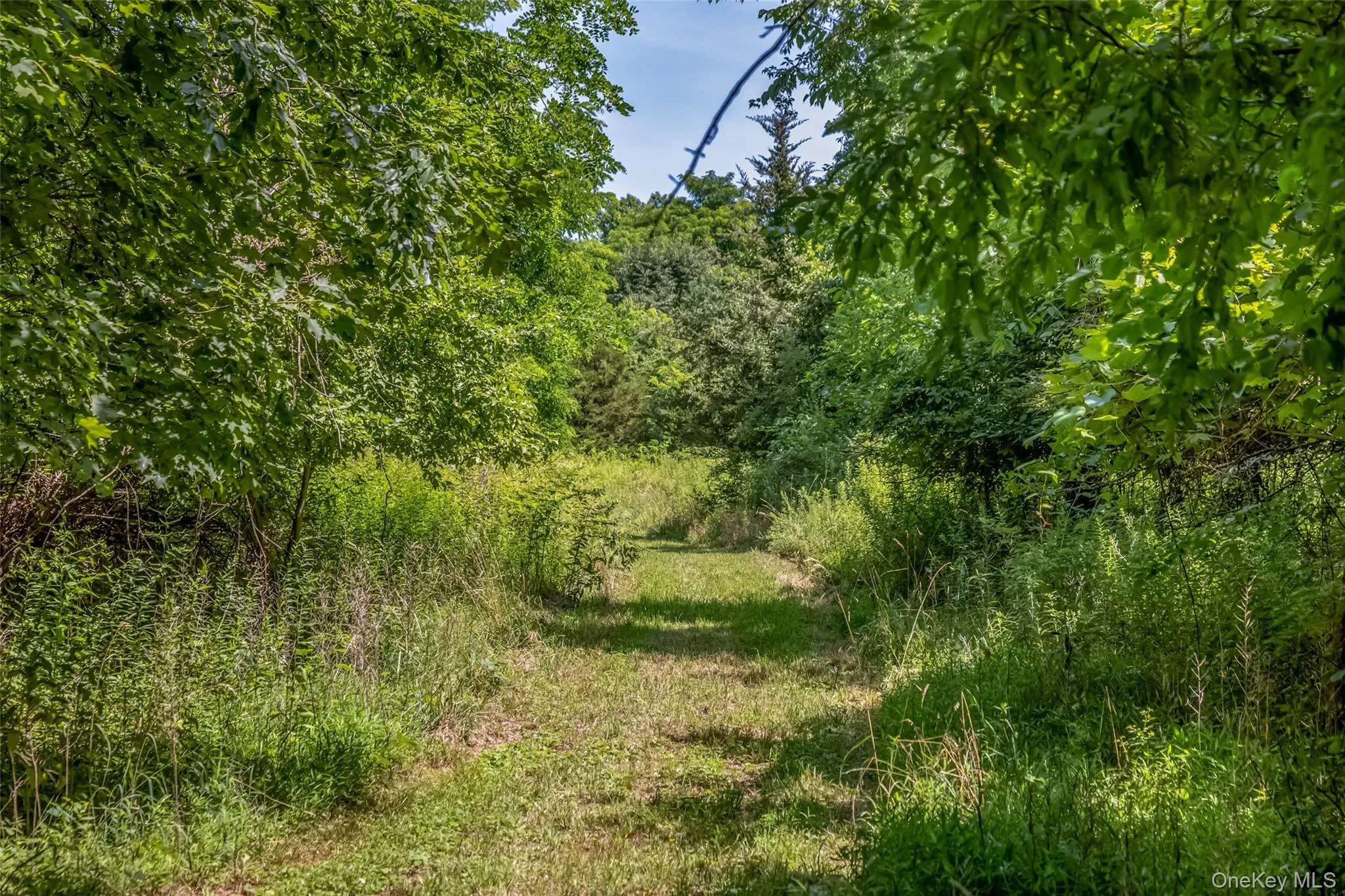 #17K NS Rt-17K Route, Montgomery, NY, ,Land,For Rent,Rt-17K,0,1026975 #17K NS Rt-17K Route, Montgomery, NY, ,Land,For Rent,Rt-17K,0,1026975