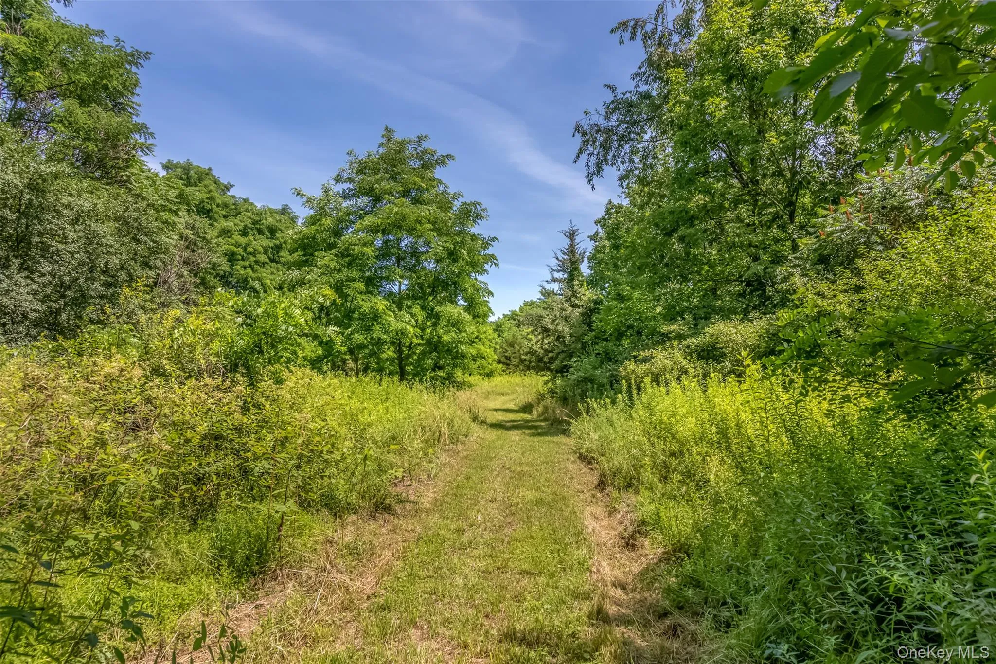 #17K NS Rt-17K Route, Montgomery, NY, ,Land,For Rent,Rt-17K,0,1026975 #17K NS Rt-17K Route, Montgomery, NY, ,Land,For Rent,Rt-17K,0,1026975