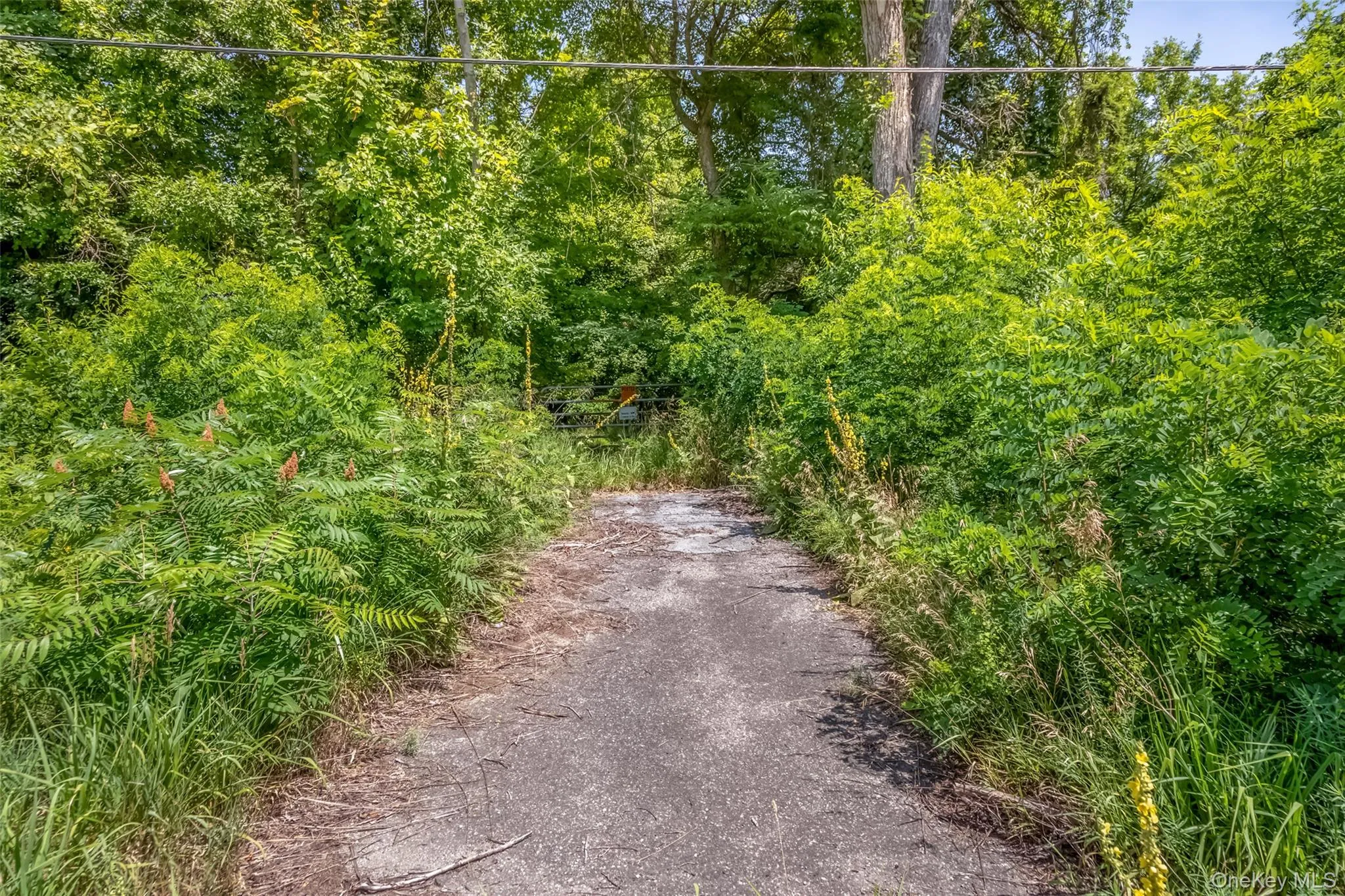 #17K NS Rt-17K Route, Montgomery, NY, ,Land,For Rent,Rt-17K,0,1026975 #17K NS Rt-17K Route, Montgomery, NY, ,Land,For Rent,Rt-17K,0,1026975