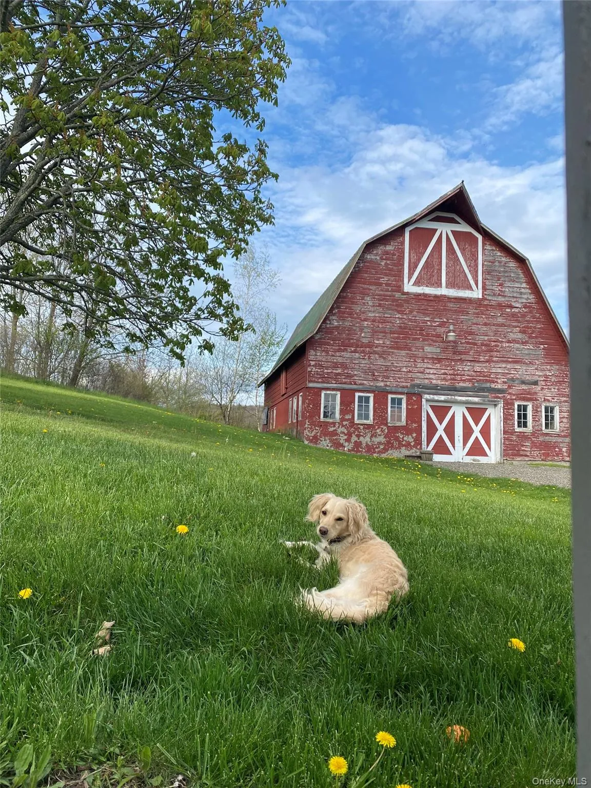 View of home's exterior with a barn View of home's exterior with a barn