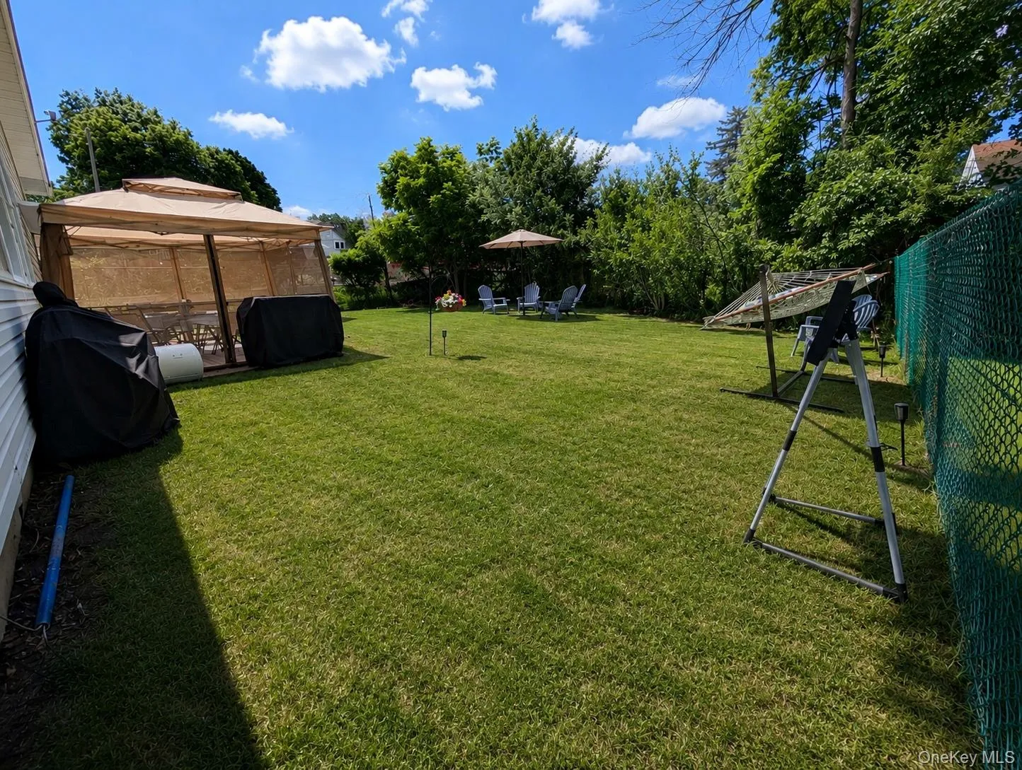 Expansive green lawn with mature perimeter foliage Expansive green lawn with mature perimeter foliage