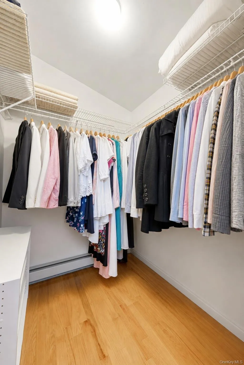 2410 Lodovick Avenue, New York, NY, 4 Bedrooms Bedrooms, 12 Rooms Rooms,3 BathroomsBathrooms,Residential,For Rent,Lodovick,0,1026991 2410 Lodovick Avenue, New York, NY, 4 Bedrooms Bedrooms, 12 Rooms Rooms,3 BathroomsBathrooms,Residential,For Rent,Lodovick,0,1026991