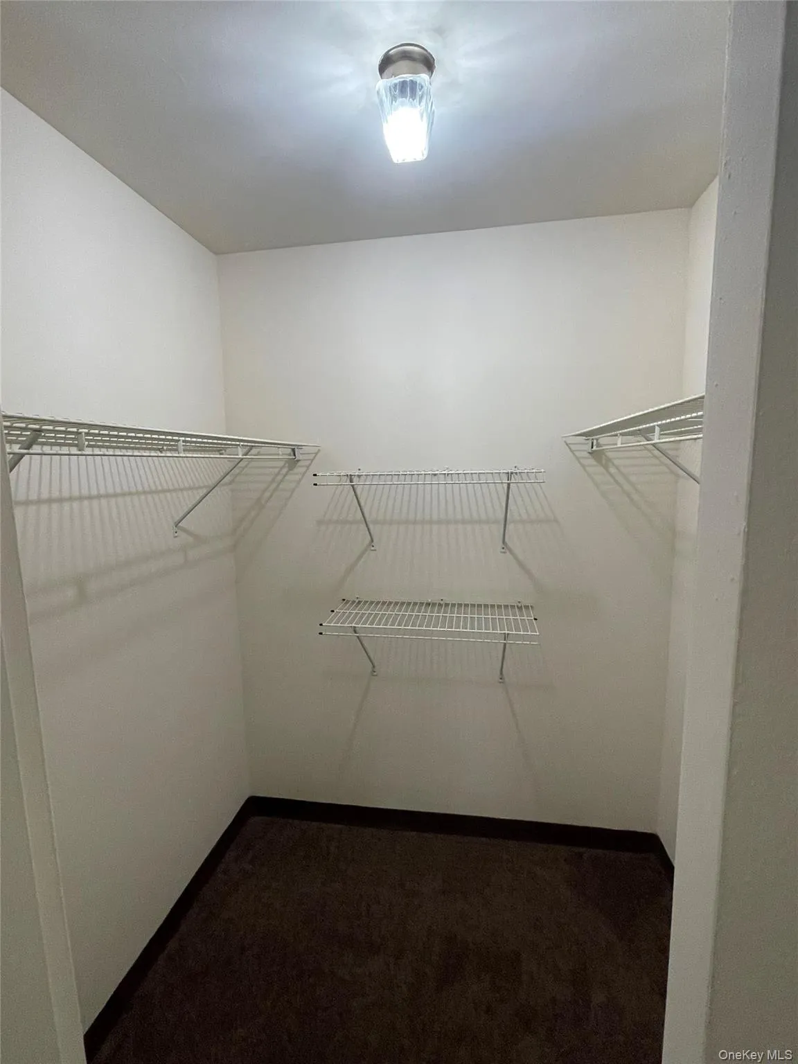 Walk-in closet featuring built-in wire shelving, plush new carpeting and a flush-mount ceiling light Walk-in closet featuring built-in wire shelving, plush new carpeting and a flush-mount ceiling light