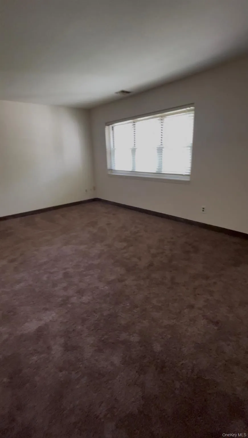 Spacious room featuring neutral painted walls, a large window with blinds, and new plush carpet flooring Spacious room featuring neutral painted walls, a large window with blinds, and new plush carpet flooring