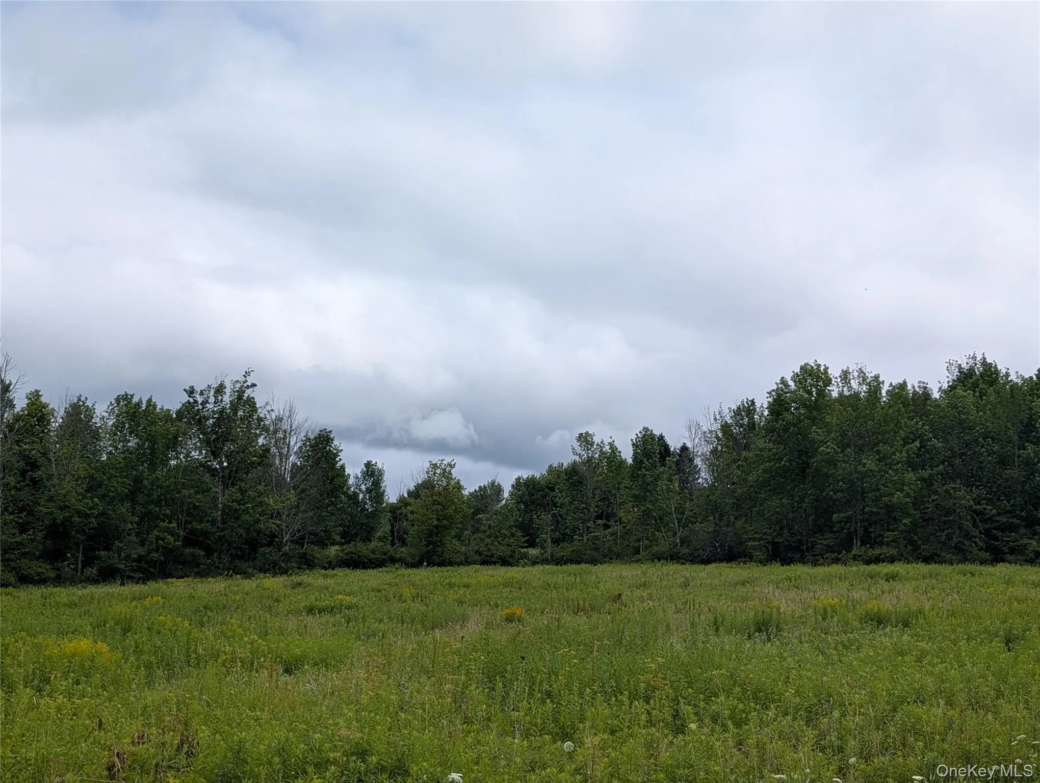 Hubbell Hill Road, Middletown, NY, ,Land,For Rent,Hubbell Hill,0,1027019 Hubbell Hill Road, Middletown, NY, ,Land,For Rent,Hubbell Hill,0,1027019