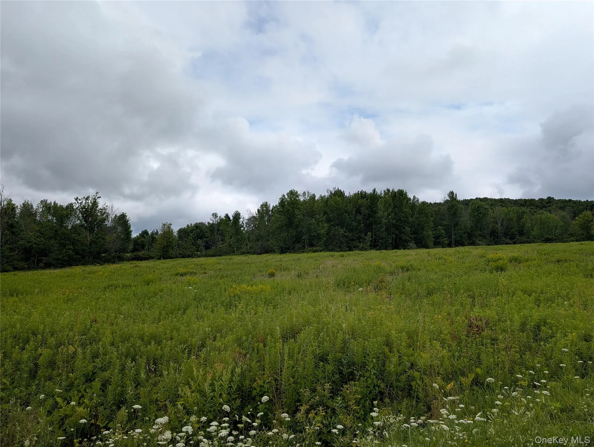 Hubbell Hill Road, Middletown, NY, ,Land,For Rent,Hubbell Hill,0,1027019 Hubbell Hill Road, Middletown, NY, ,Land,For Rent,Hubbell Hill,0,1027019