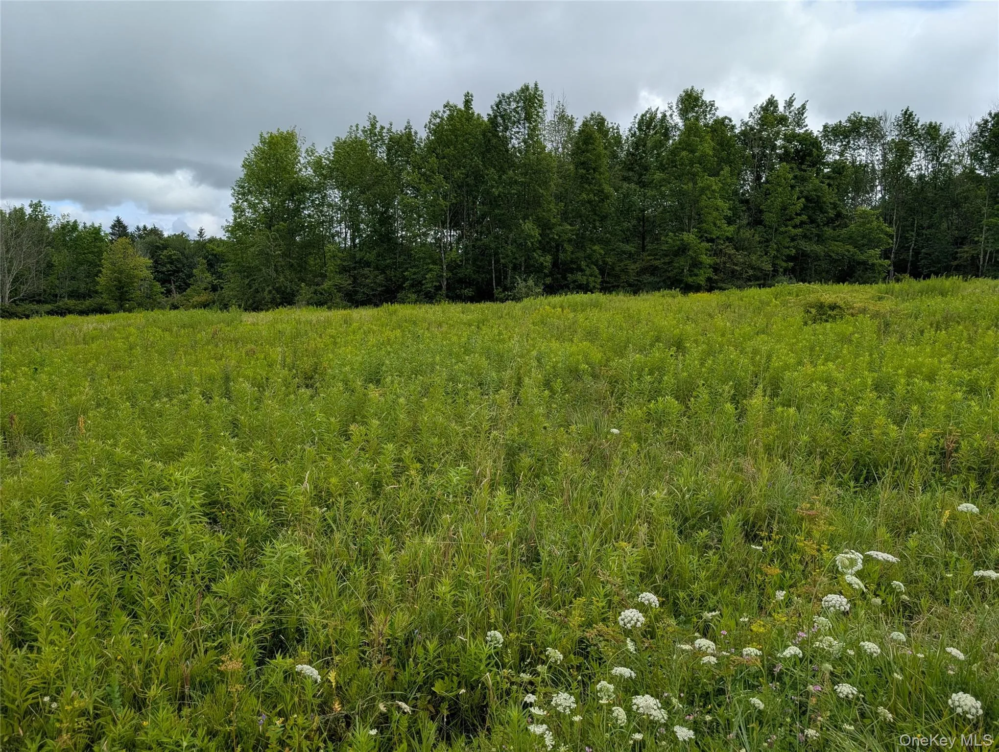 Hubbell Hill Road, Middletown, NY, ,Land,For Rent,Hubbell Hill,0,1027019 Hubbell Hill Road, Middletown, NY, ,Land,For Rent,Hubbell Hill,0,1027019