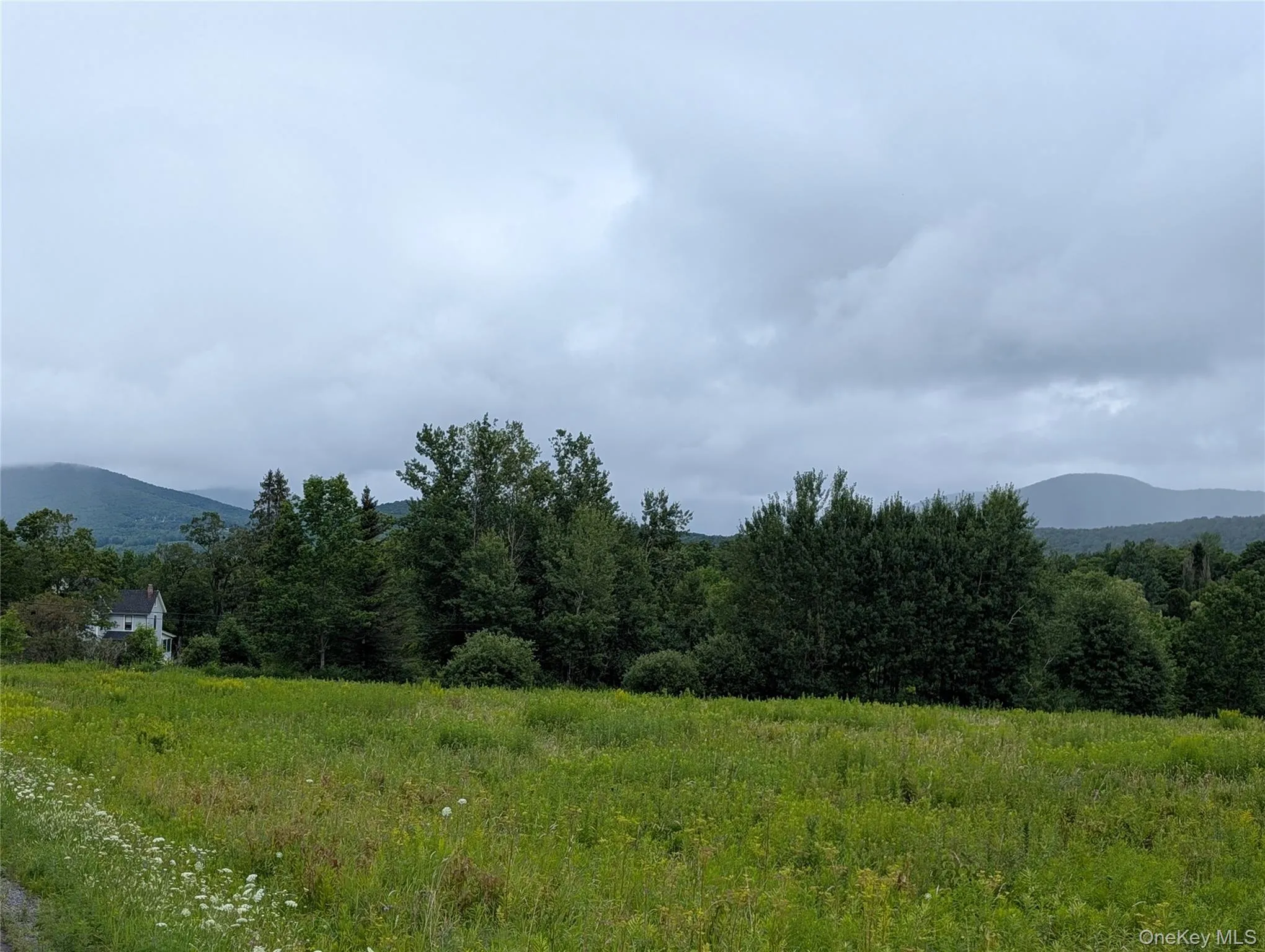 Hubbell Hill Road, Middletown, NY, ,Land,For Rent,Hubbell Hill,0,1027019 Hubbell Hill Road, Middletown, NY, ,Land,For Rent,Hubbell Hill,0,1027019