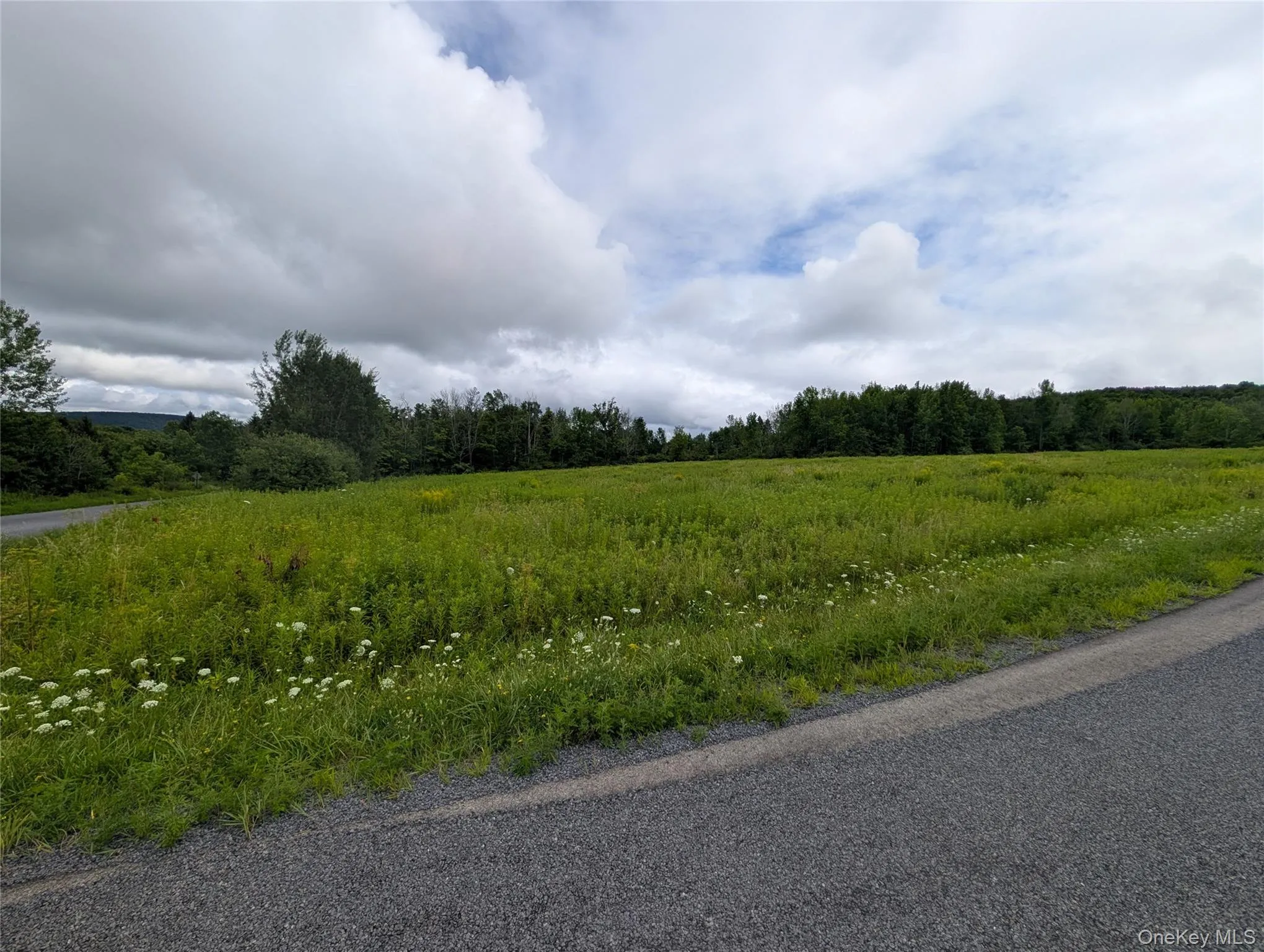 Hubbell Hill Road, Middletown, NY, ,Land,For Rent,Hubbell Hill,0,1027019 Hubbell Hill Road, Middletown, NY, ,Land,For Rent,Hubbell Hill,0,1027019