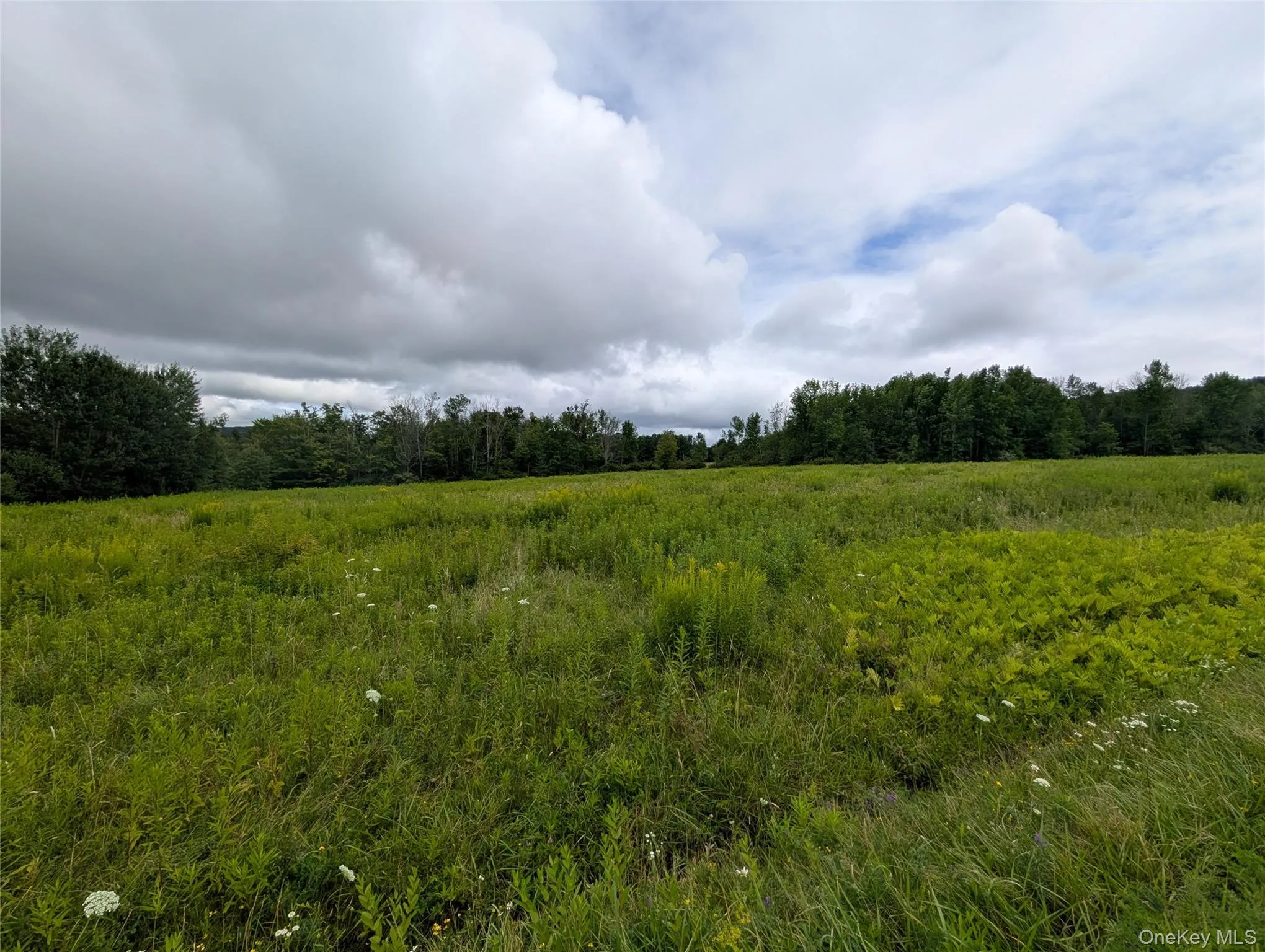 Hubbell Hill Road, Middletown, NY, ,Land,For Rent,Hubbell Hill,0,1027019 Hubbell Hill Road, Middletown, NY, ,Land,For Rent,Hubbell Hill,0,1027019