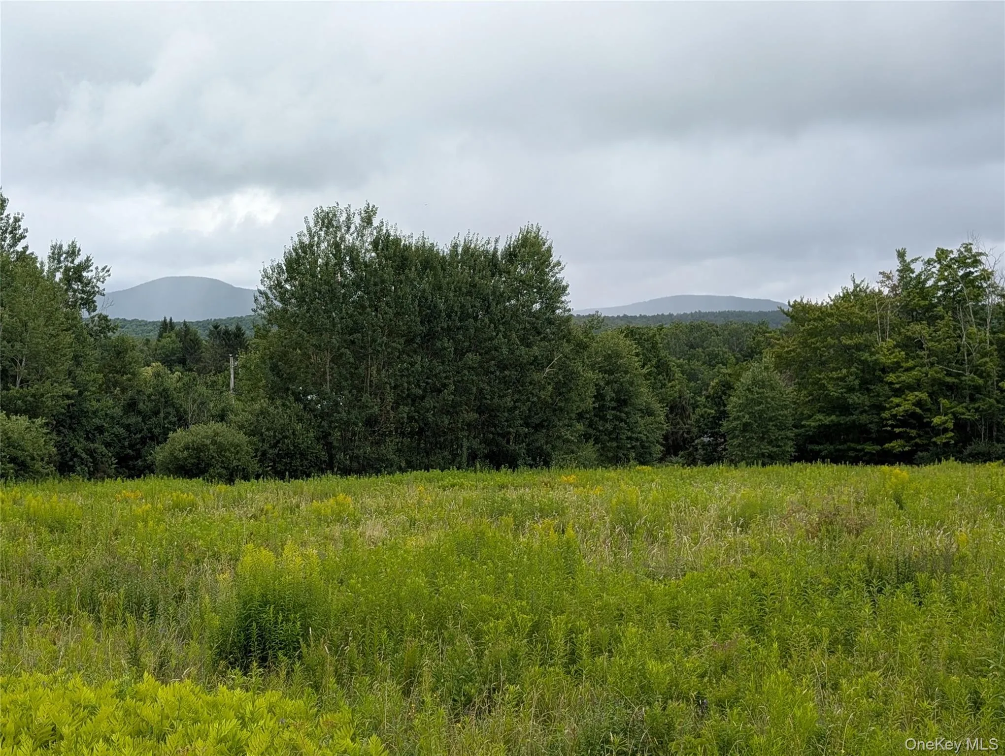 Hubbell Hill Road, Middletown, NY, ,Land,For Rent,Hubbell Hill,0,1027019 Hubbell Hill Road, Middletown, NY, ,Land,For Rent,Hubbell Hill,0,1027019
