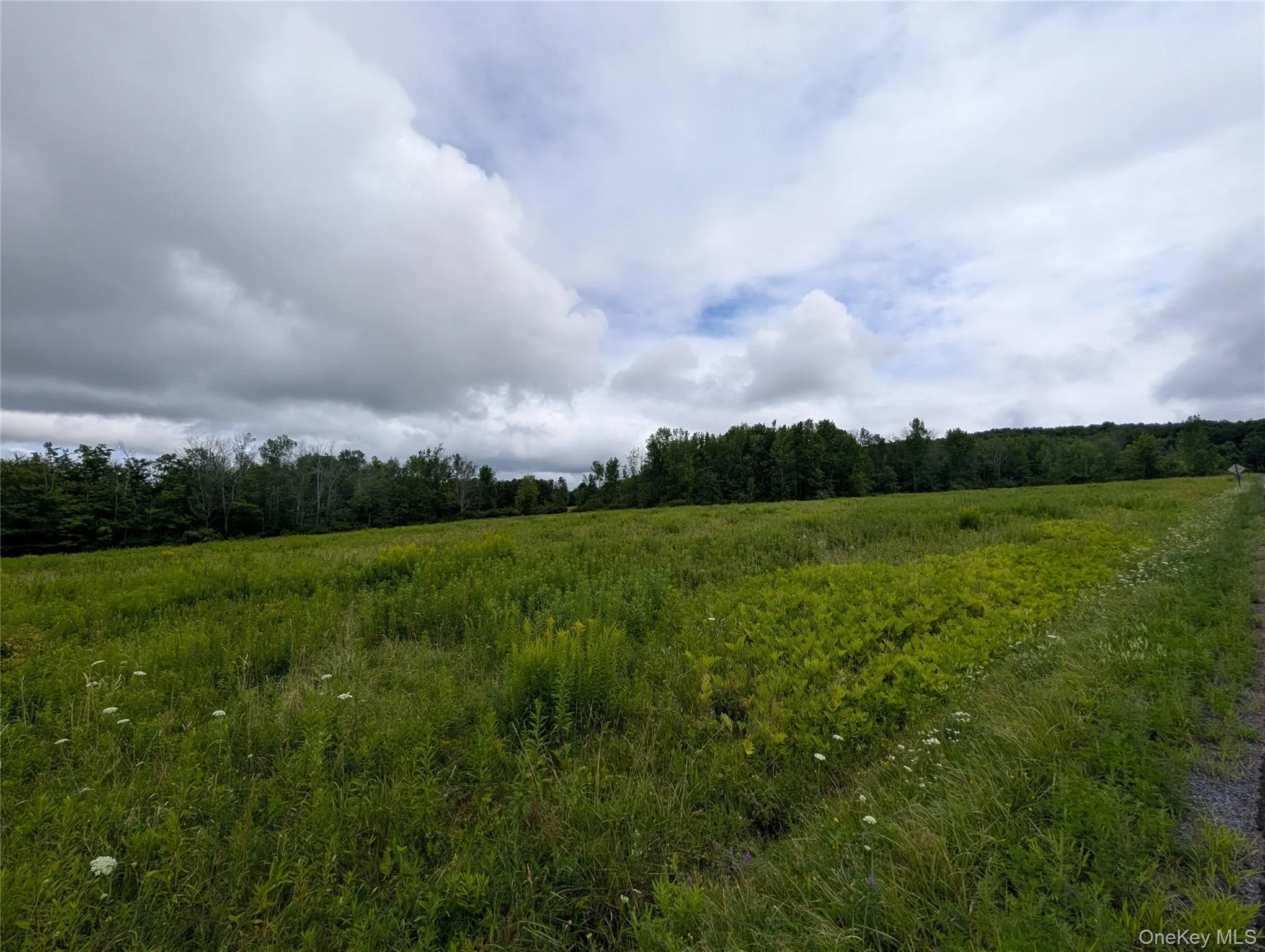 Hubbell Hill Road, Middletown, NY, ,Land,For Rent,Hubbell Hill,0,1027019 Hubbell Hill Road, Middletown, NY, ,Land,For Rent,Hubbell Hill,0,1027019