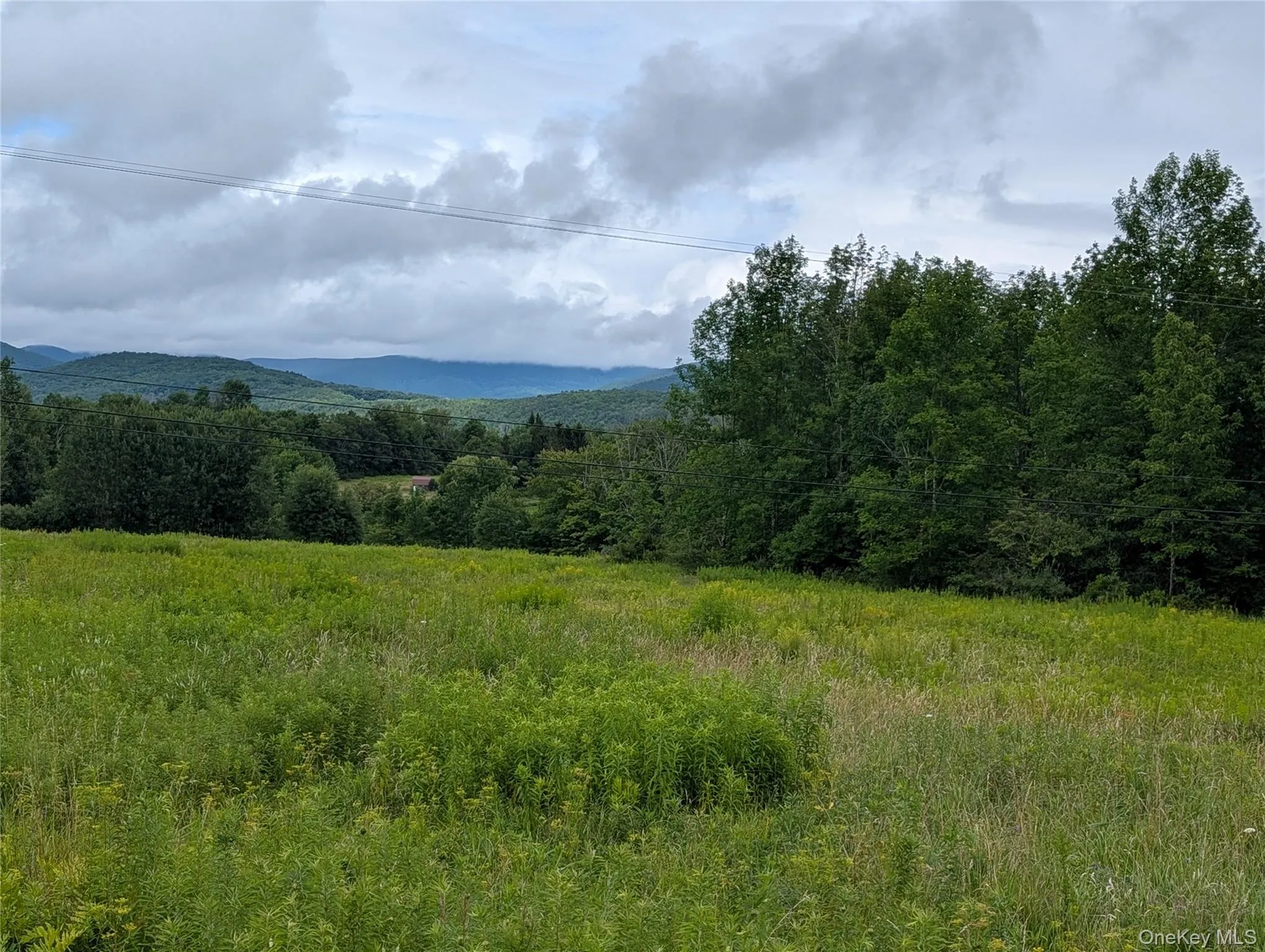 Hubbell Hill Road, Middletown, NY, ,Land,For Rent,Hubbell Hill,0,1027019 Hubbell Hill Road, Middletown, NY, ,Land,For Rent,Hubbell Hill,0,1027019